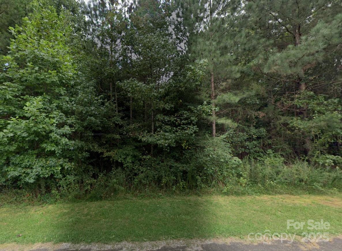 Property at 00 24 Majestic Pine Drive, Vale, NC 28168