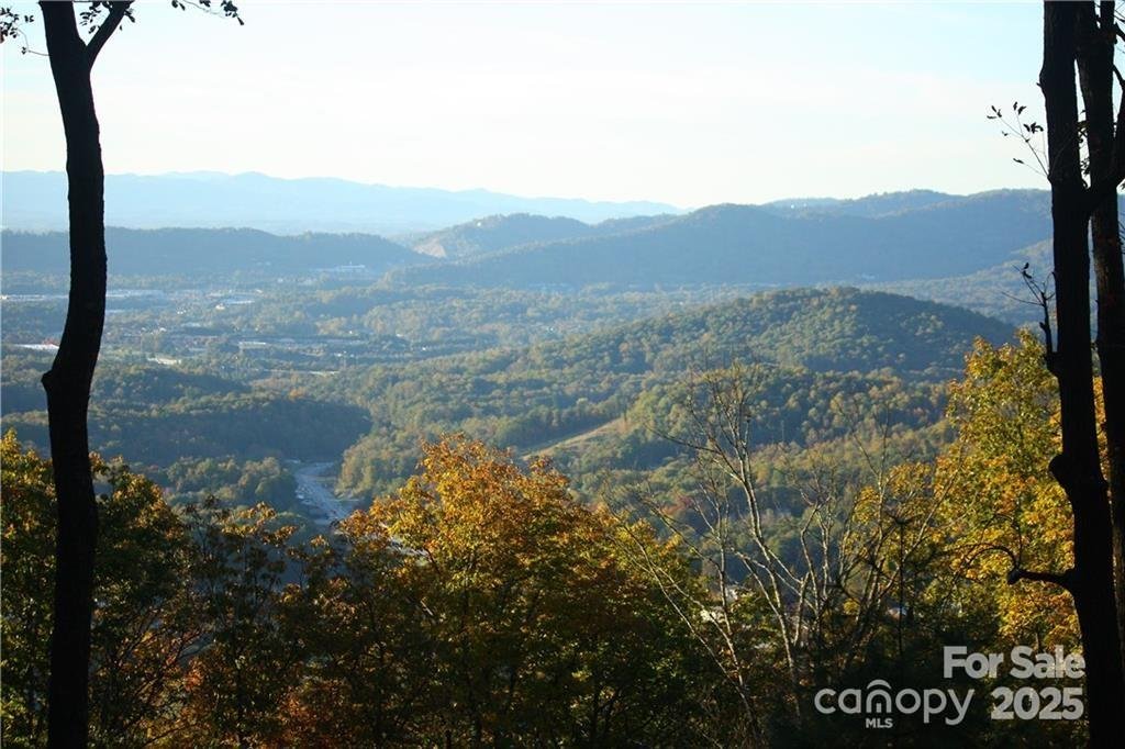 Chestnut Mountain, Asheville Community