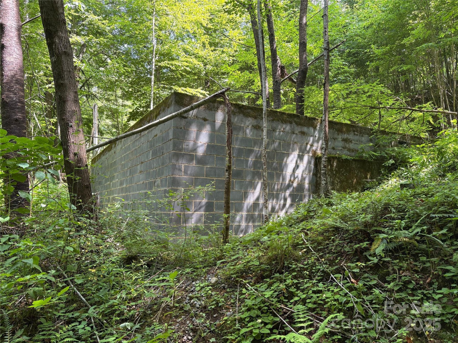 Property image 2 at 108 Green Cove Drive, Maggie Valley, NC 28751