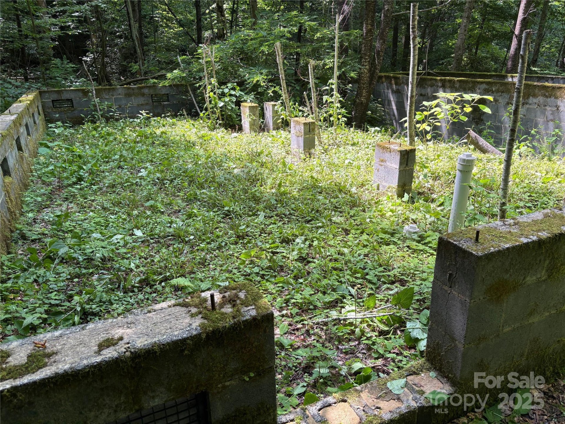Property image 4 at 108 Green Cove Drive, Maggie Valley, NC 28751
