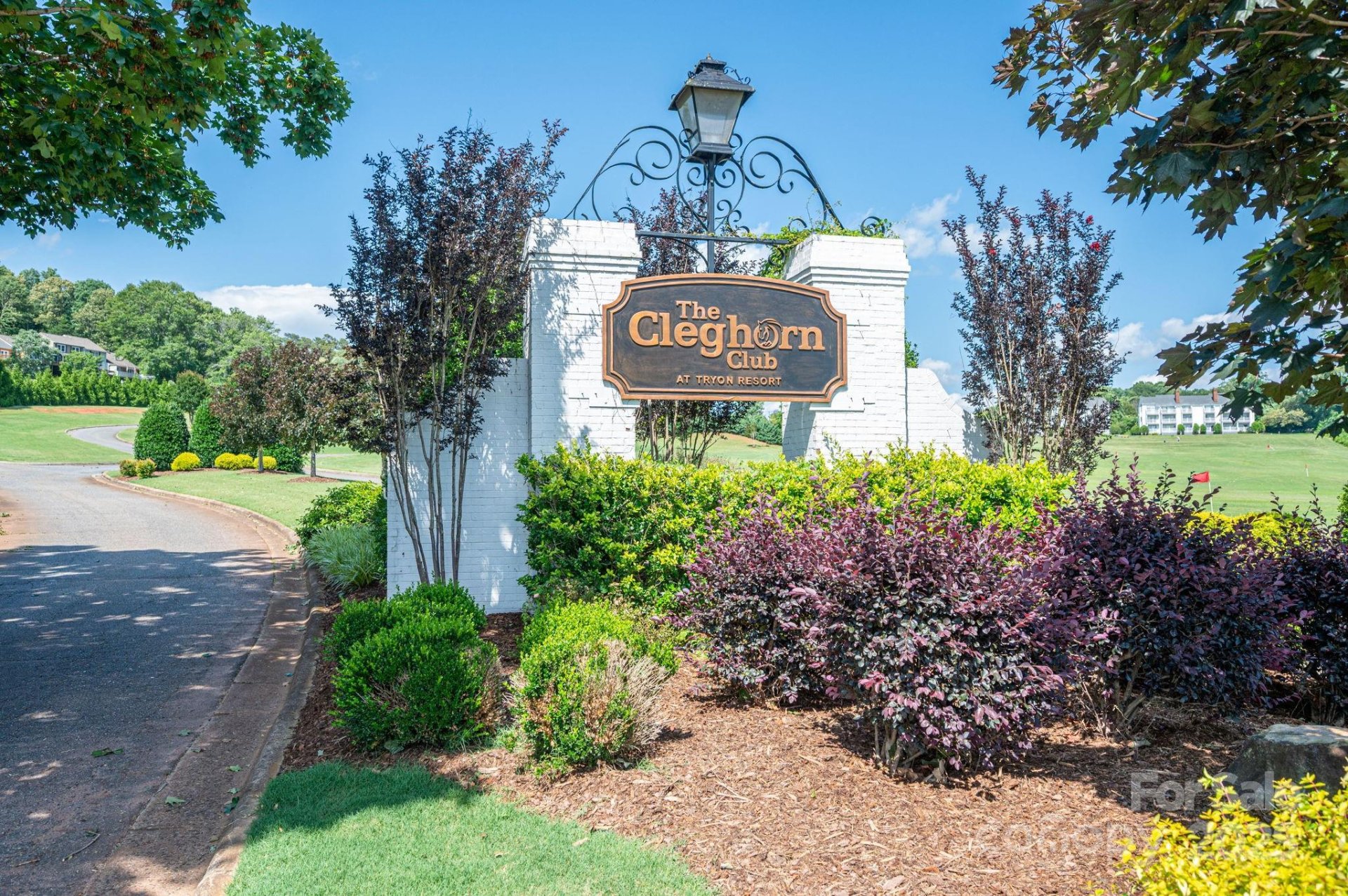 Moss Drive at Cleghorn, Rutherfordton Community
