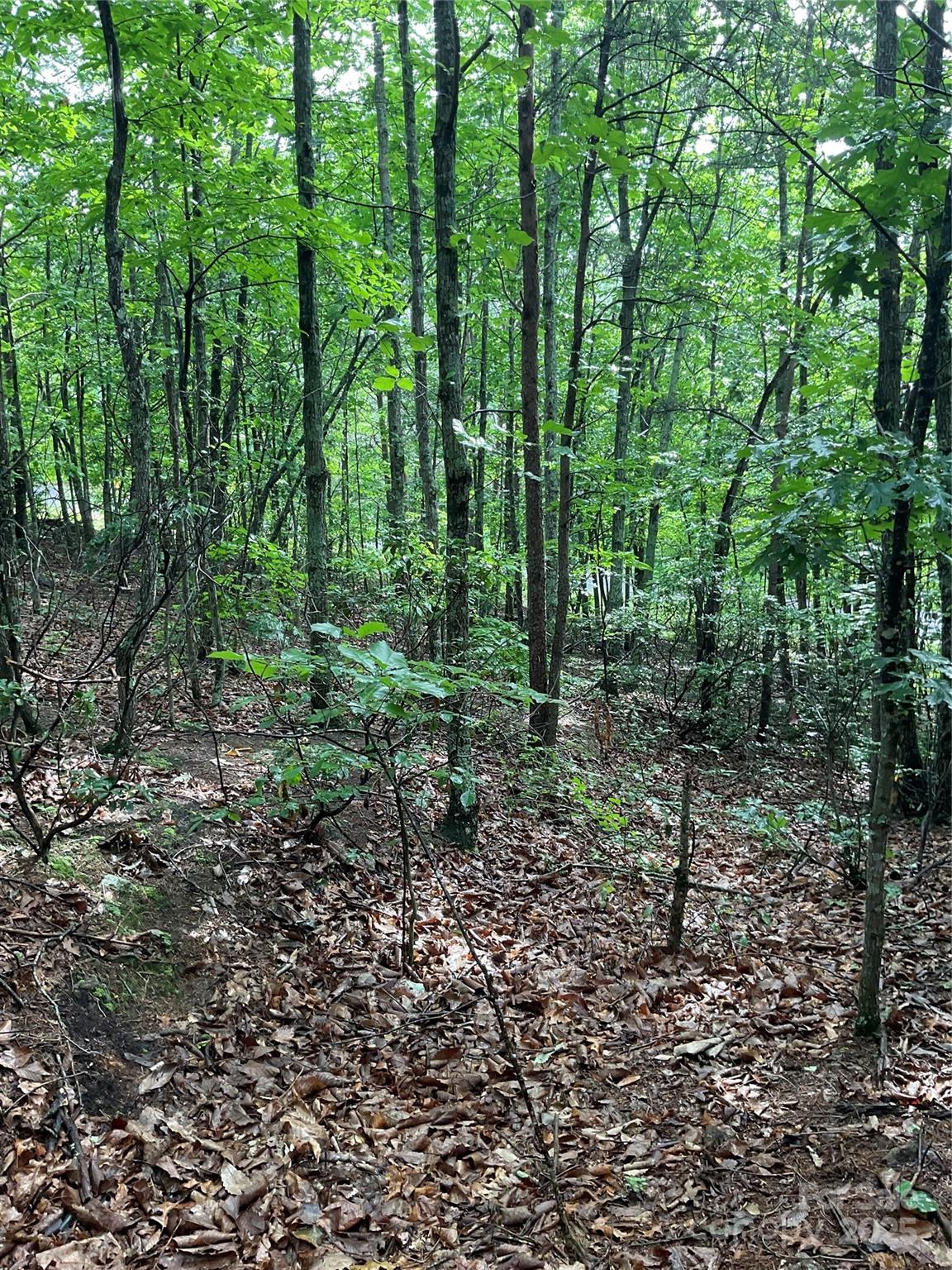 Property image 5 at 0 Valley View Court, Hickory, NC 28602