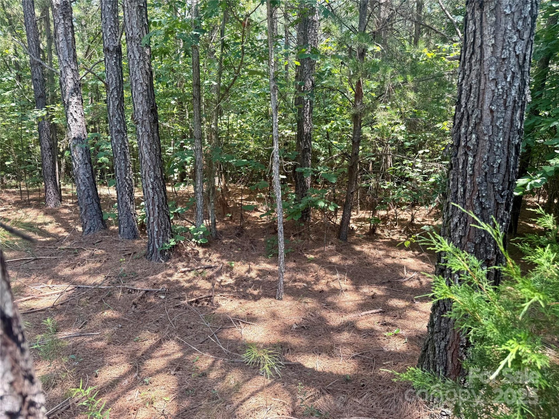 Property image 2 at Lot 262 Cross Creek Drive, Rutherfordton, NC 28139