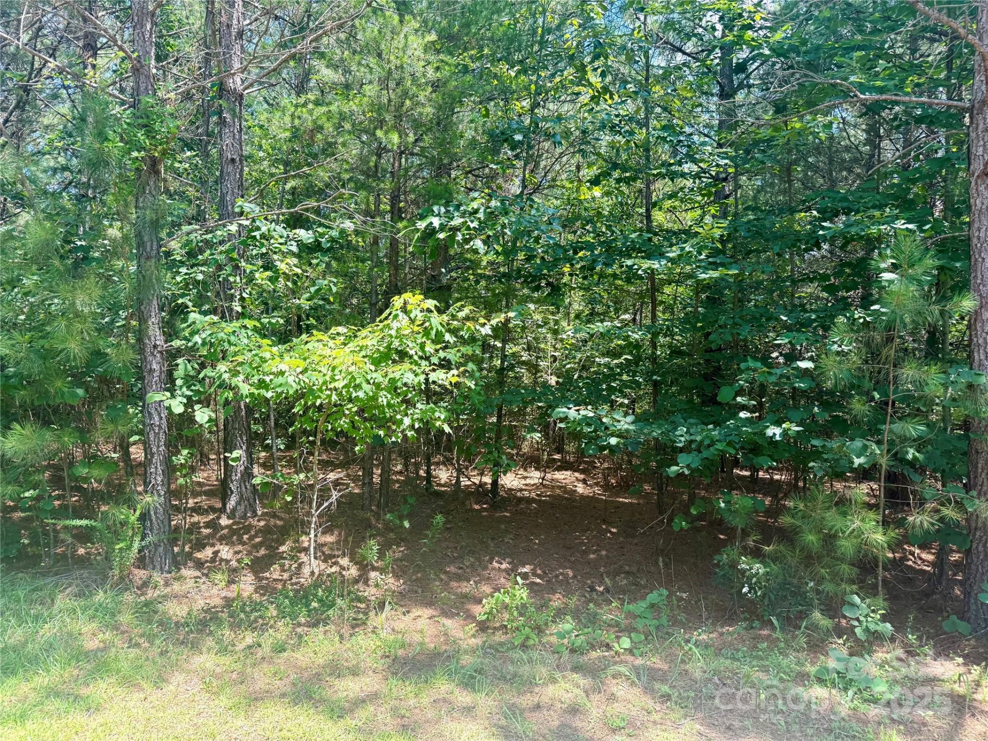 Property image 3 at Lot 262 Cross Creek Drive, Rutherfordton, NC 28139