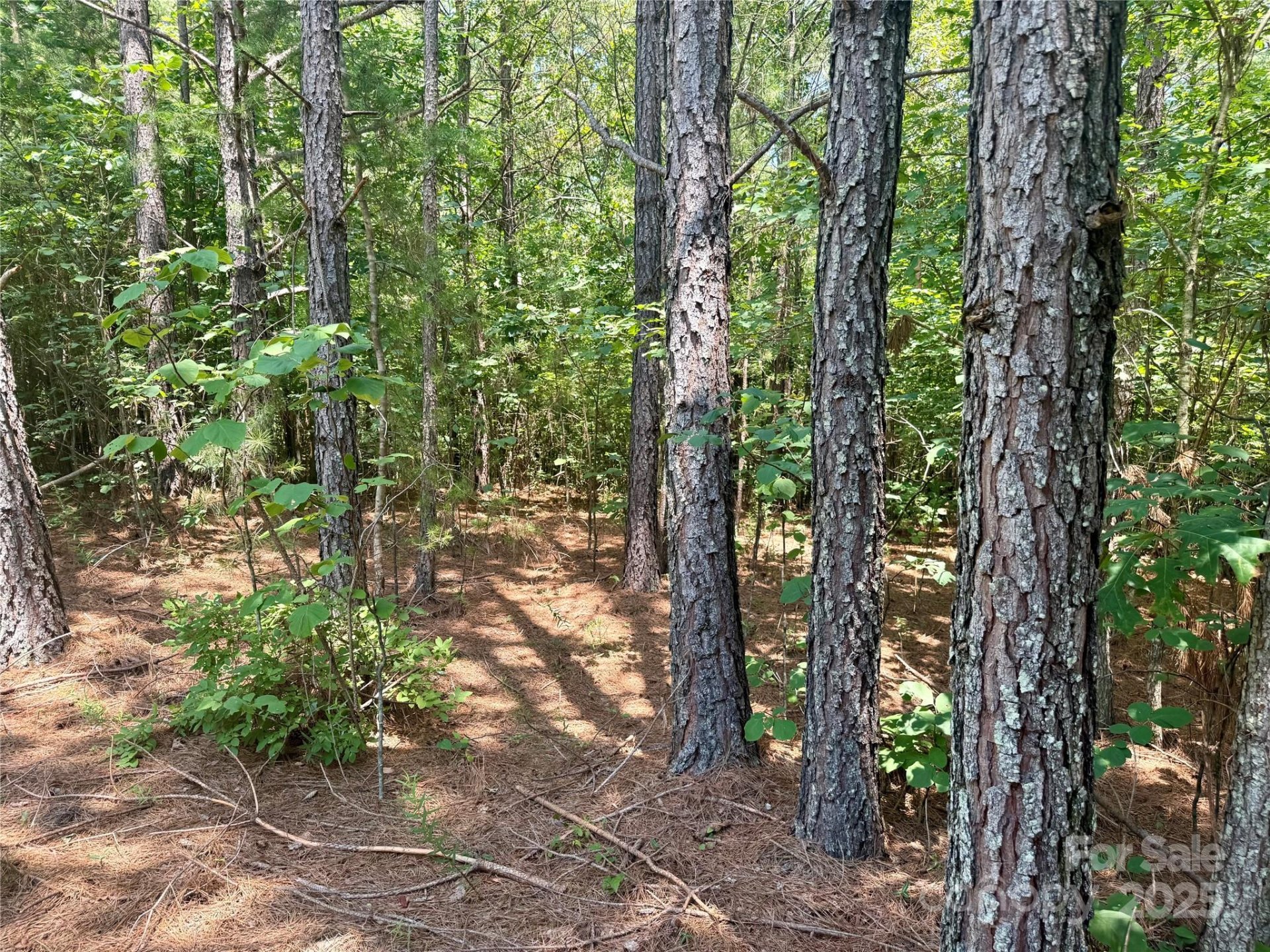 Property image 4 at Lot 262 Cross Creek Drive, Rutherfordton, NC 28139