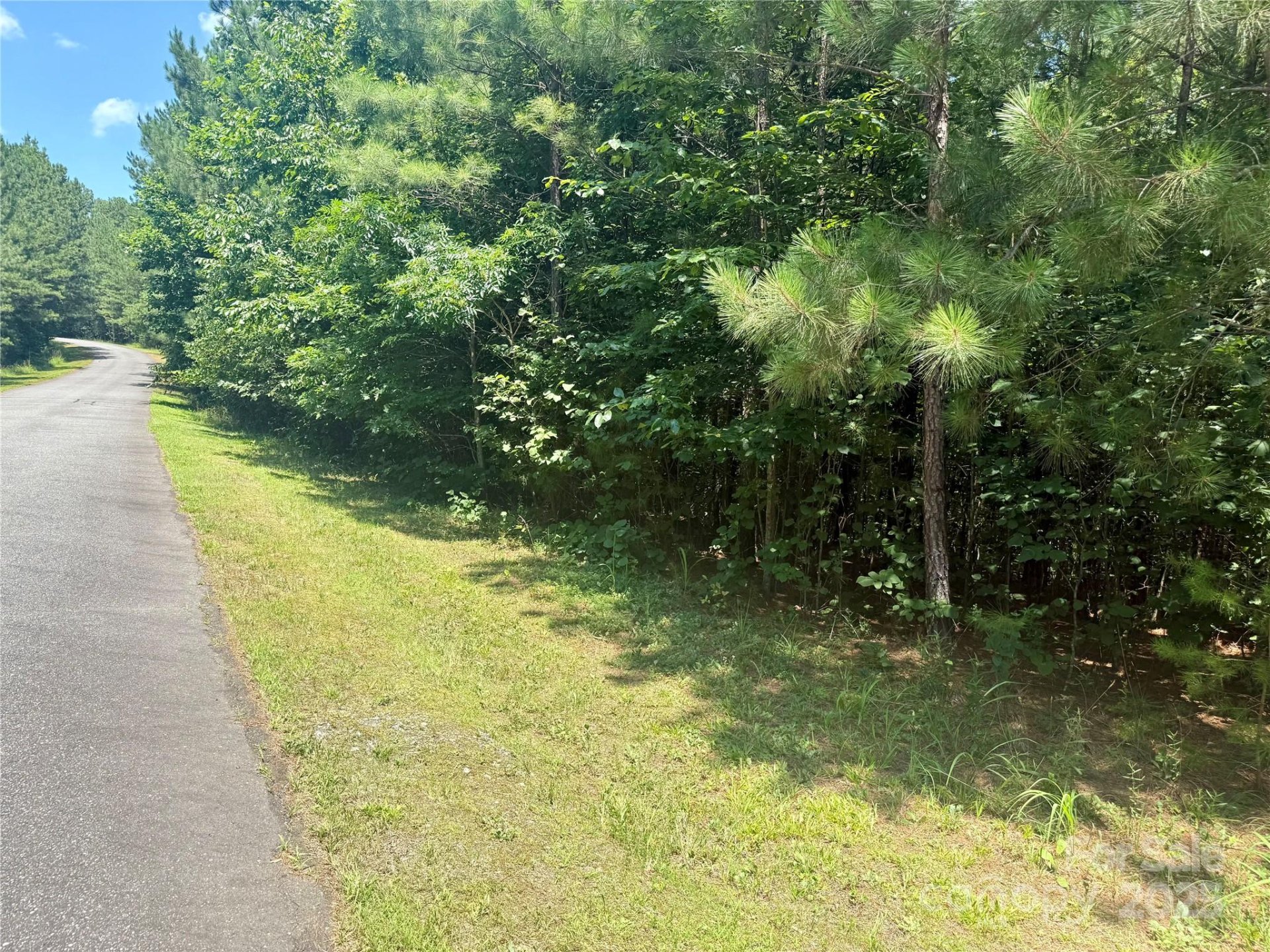 Property image 5 at Lot 262 Cross Creek Drive, Rutherfordton, NC 28139