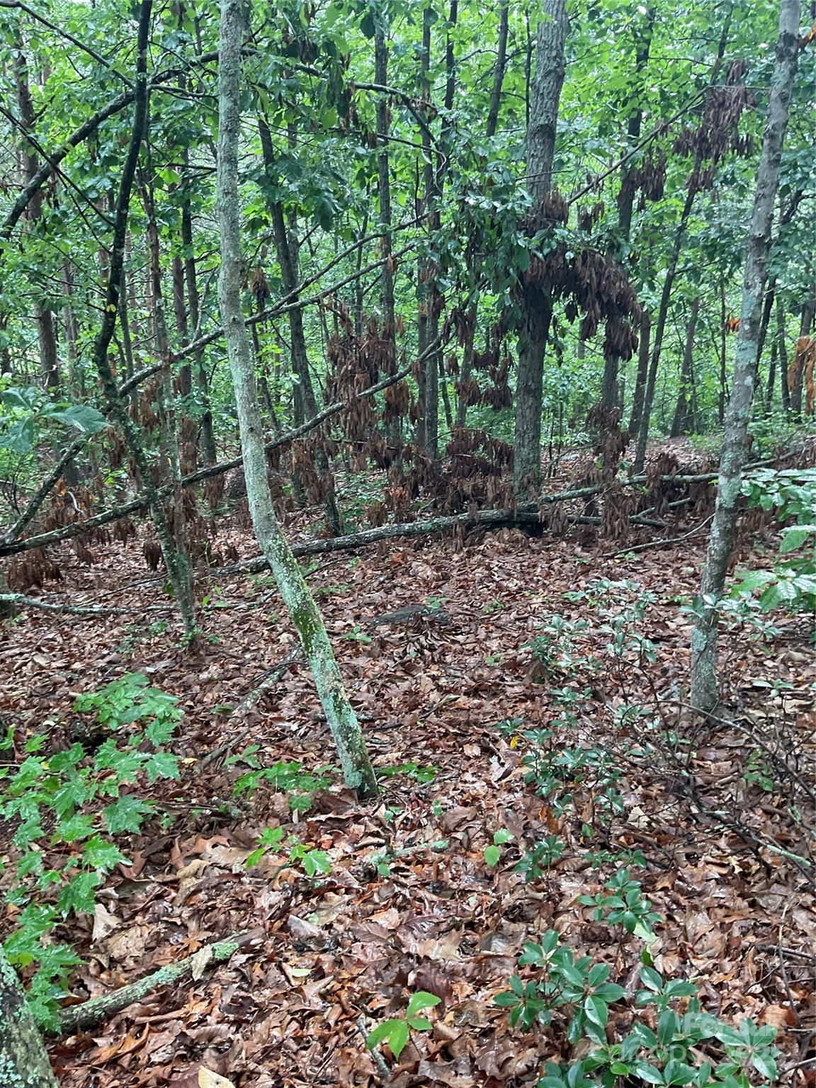 Property image 4 at 0 Pineknoll Drive, Hickory, NC 28602