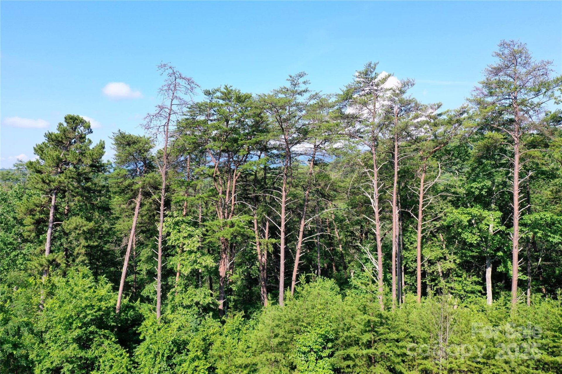 Property image 5 at 241 Rock Ledge Drive, Lake Lure, NC 28746