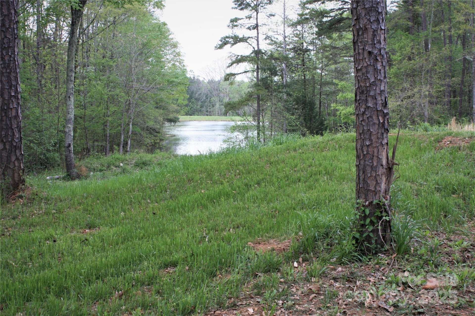 Irongate, Clover Community