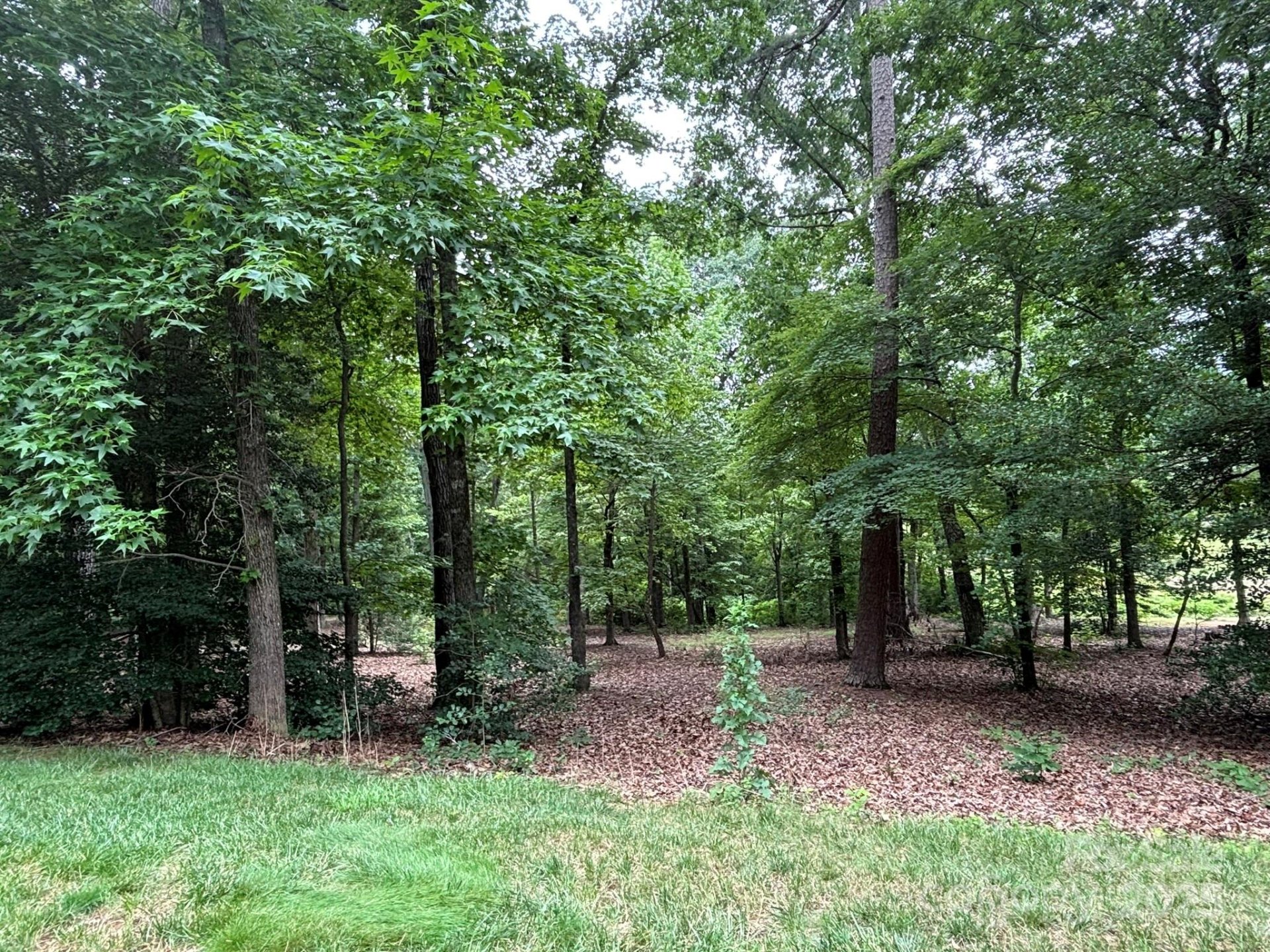 Property image 4 at 116 Long Cove, New London, NC 28127