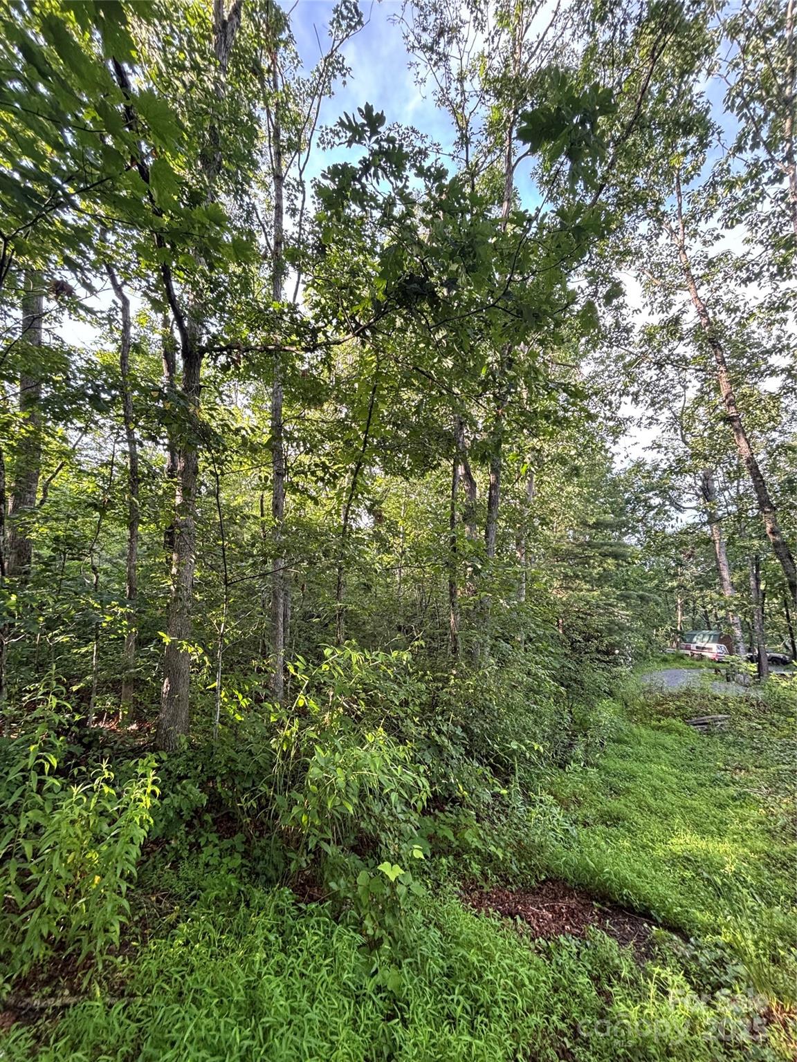 Property at 9999 Oak Ridge Road, Hendersonville, NC 28792