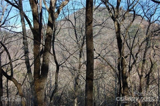 Property image 4 at Lot 30 Summit Court, Lake Lure, NC 28746