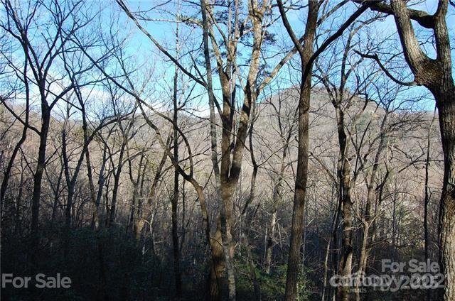 Property image 5 at Lot 30 Summit Court, Lake Lure, NC 28746