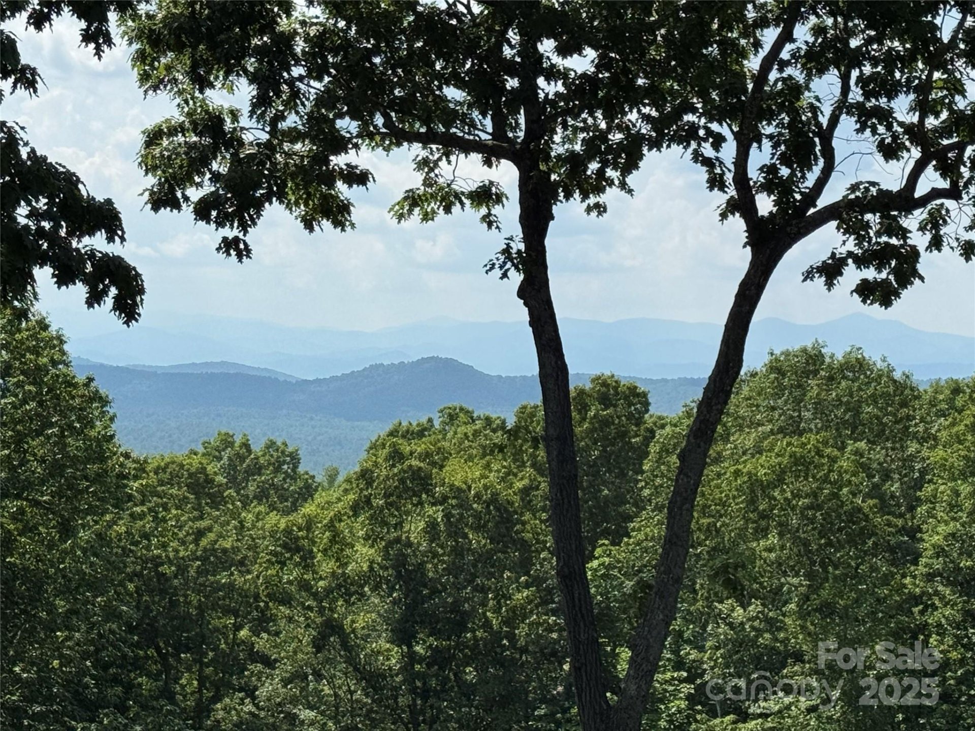 Property image 2 at 101 Beckwood Court, Flat Rock, NC 28731