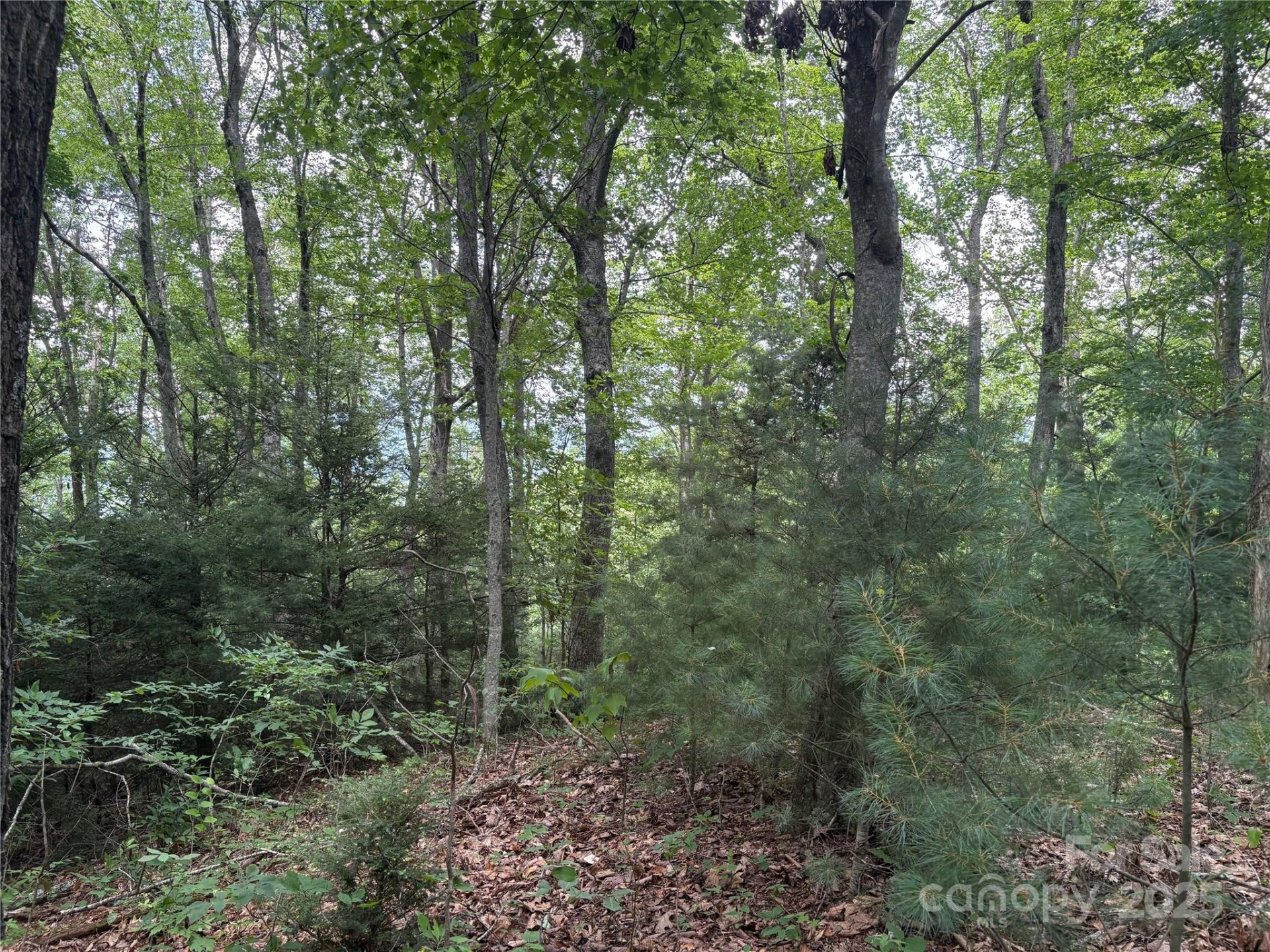 Property image 2 at 00 Early Frost Place, Waynesville, NC 28785