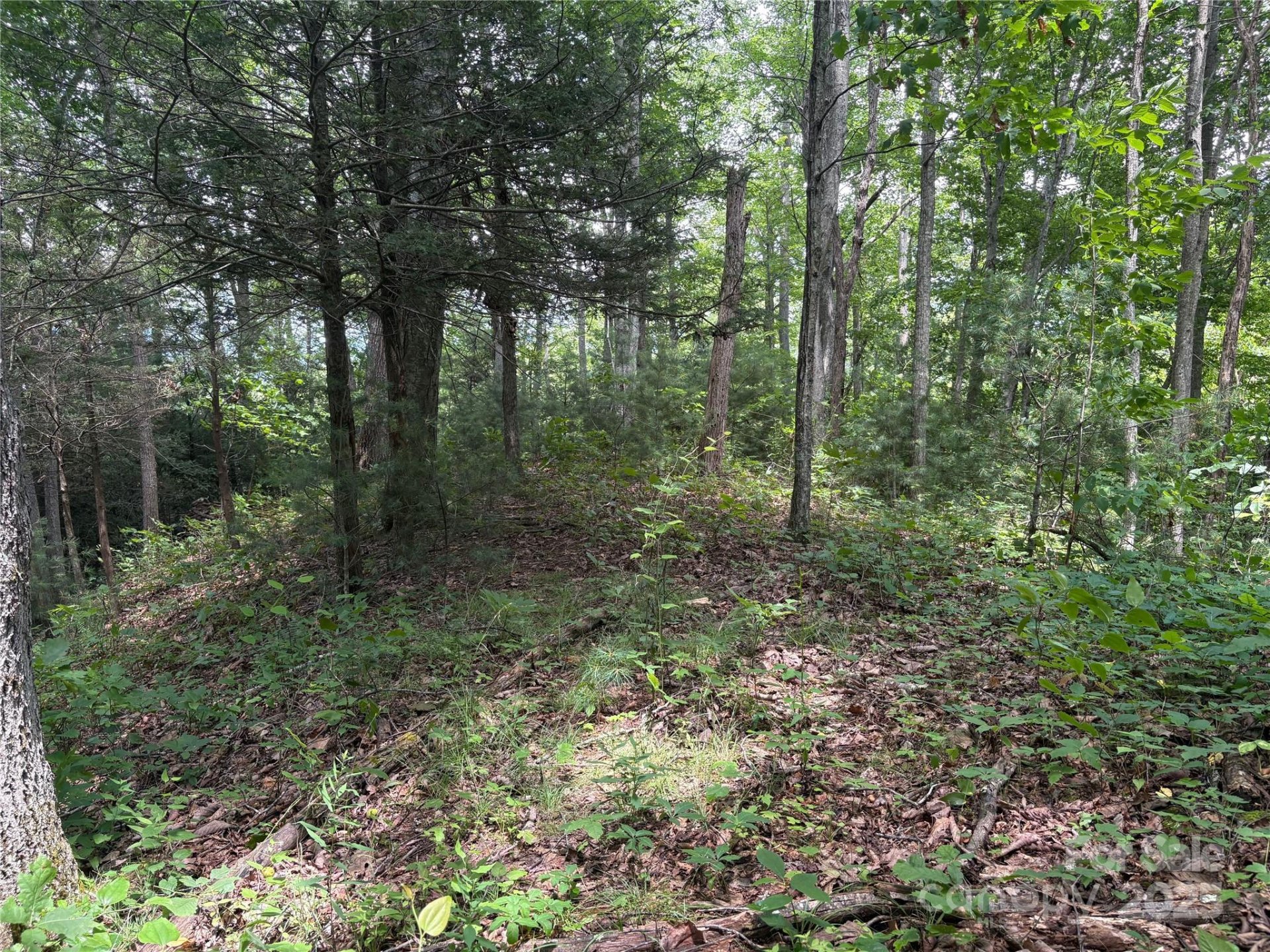 Property image 3 at 00 Early Frost Place, Waynesville, NC 28785