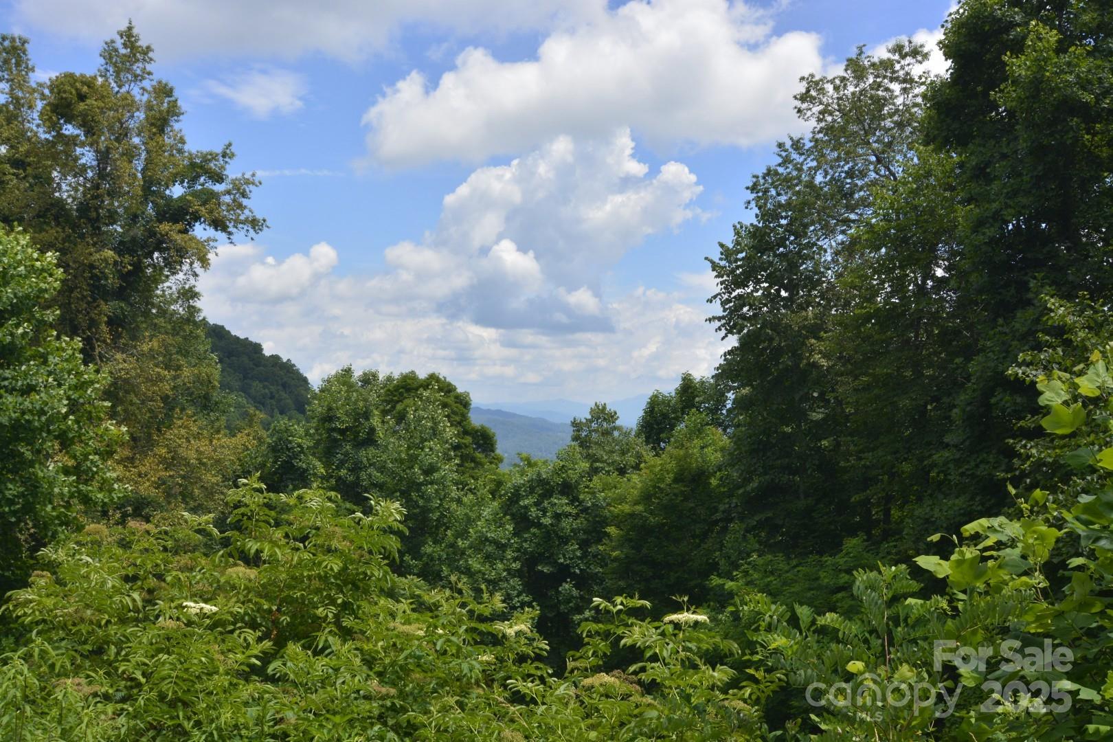 Property at 999 Red Wolf Run, Mars Hill, NC 28754