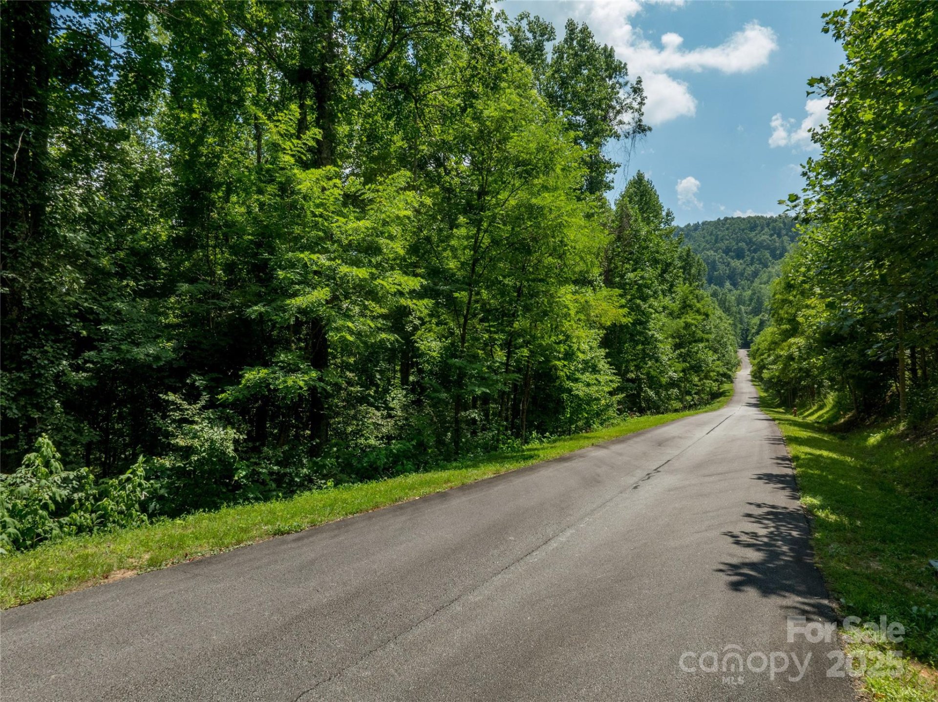 Property image 5 at Lot 256 Haddington Drive, Mill Spring, NC 28756