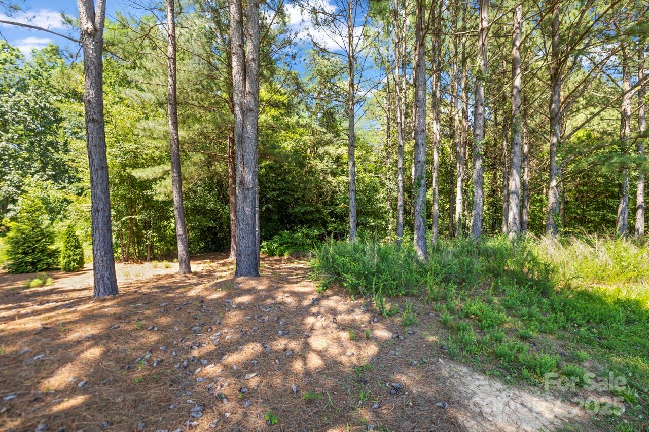 Property image 4 at 4930 Killian Crossing Drive, Denver, NC 28037