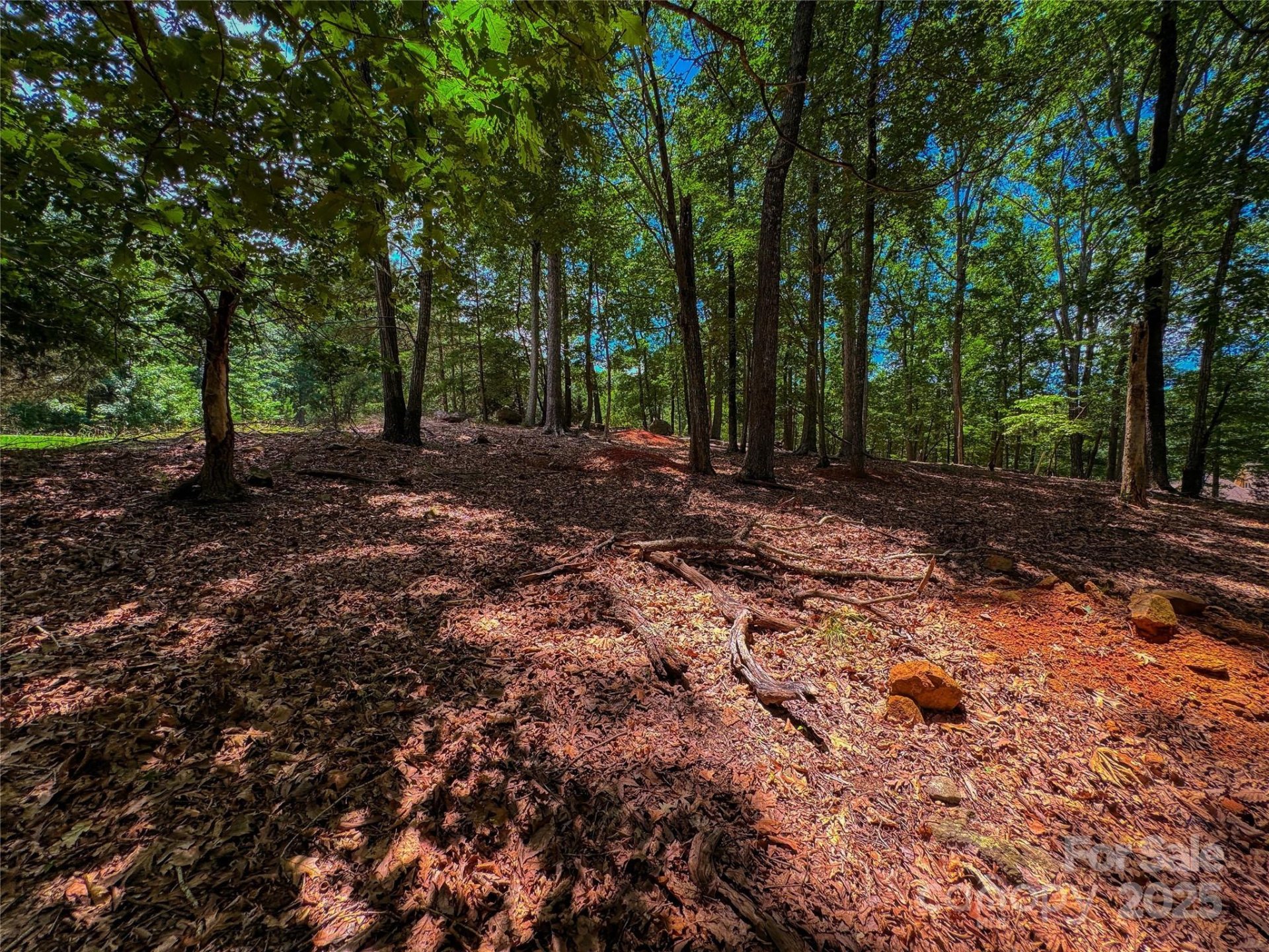 Property image 3 at 1560 Rocky Cove Lane, Denton, NC 27239