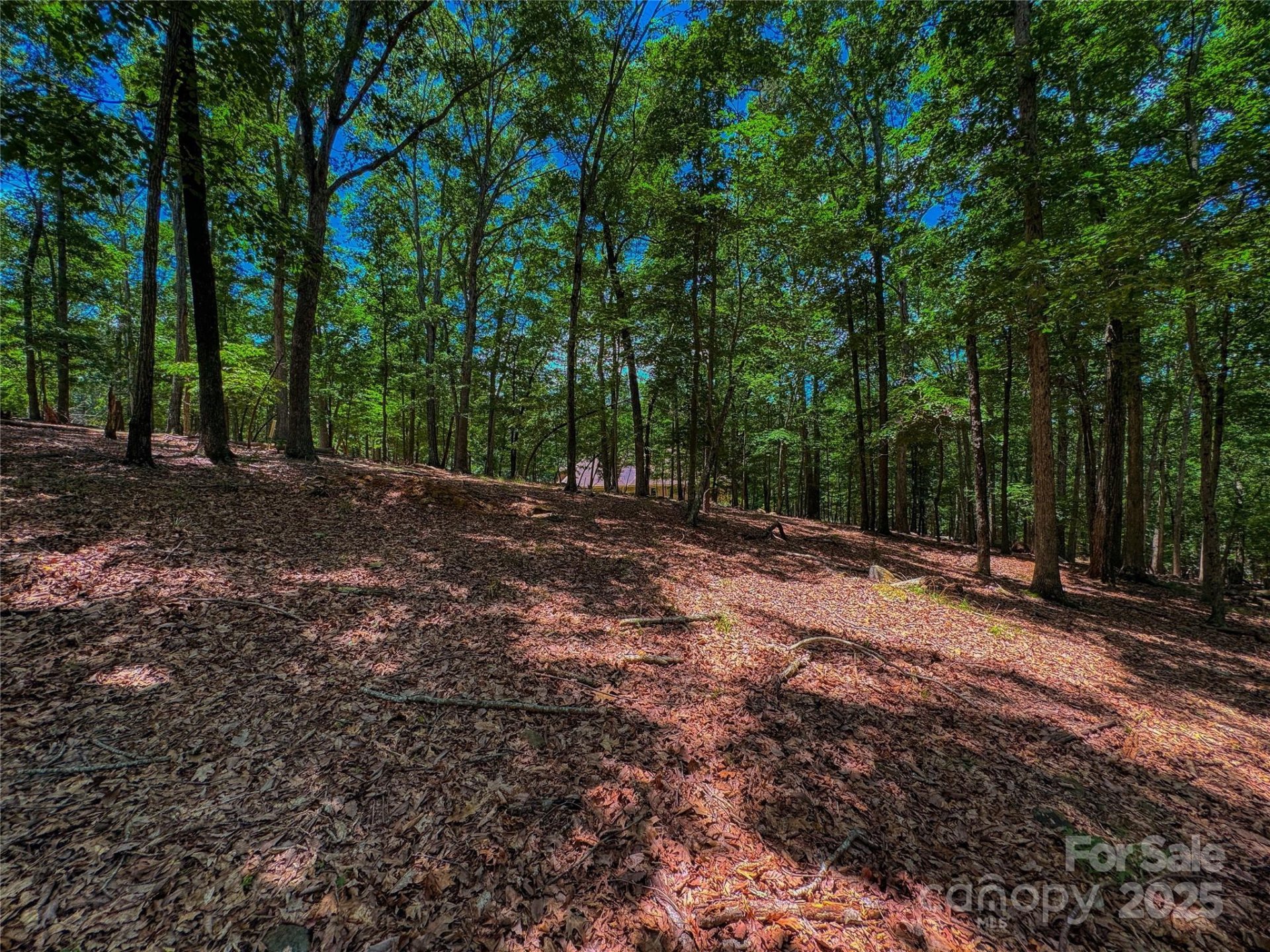 Property image 4 at 1560 Rocky Cove Lane, Denton, NC 27239