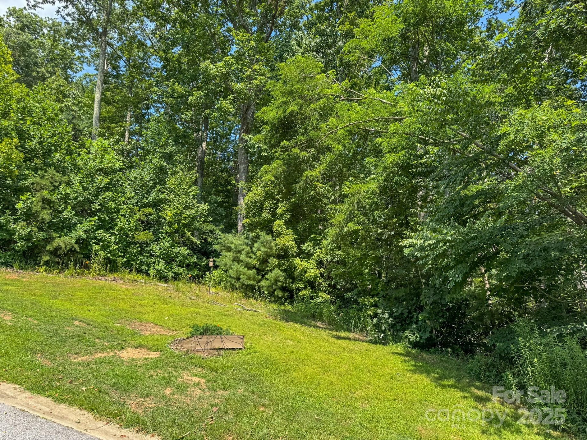 Property image 3 at 195 Carriage Crest Drive, Hendersonville, NC 28791