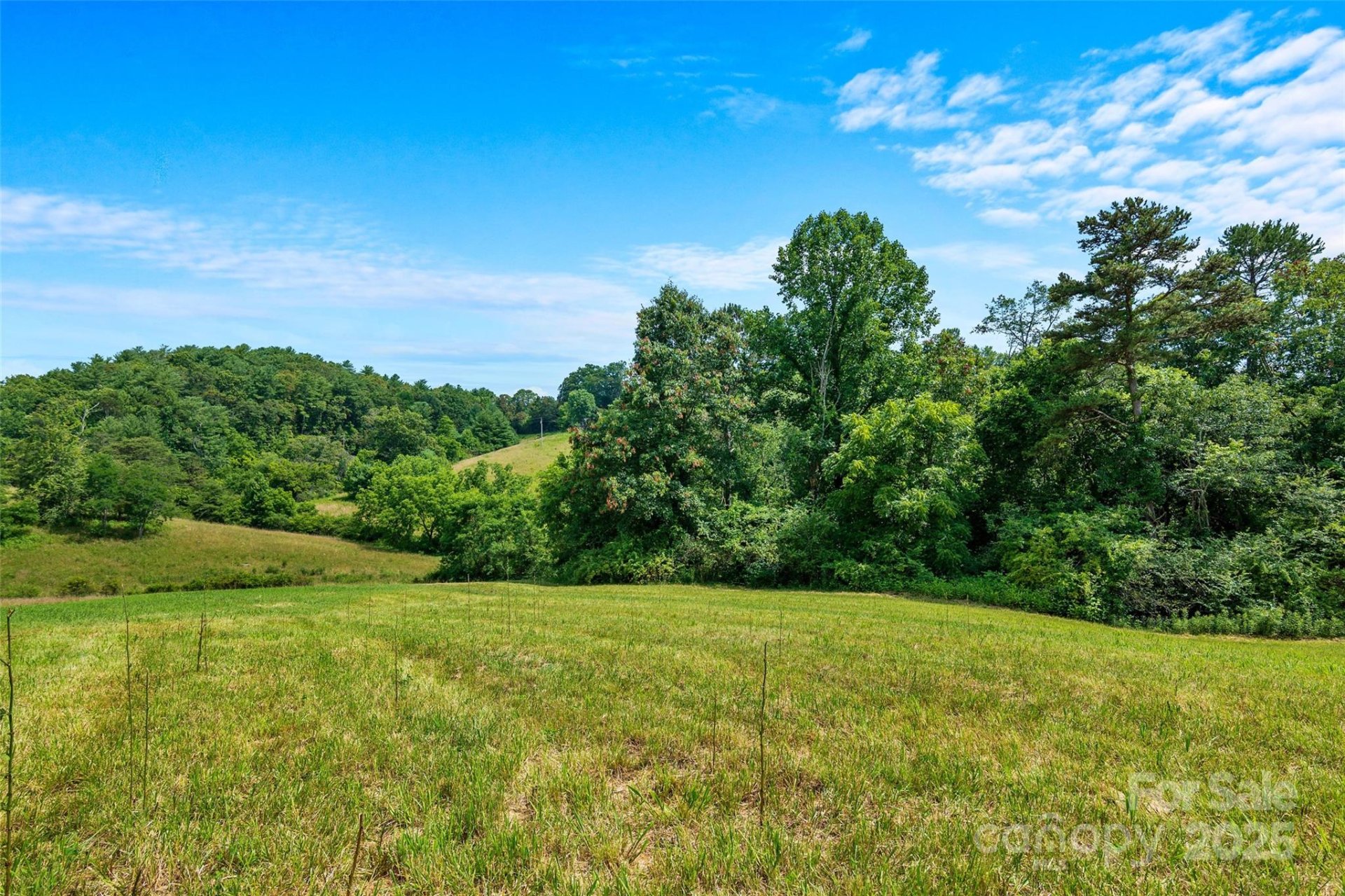 Grandview Knoll, Alexander Community