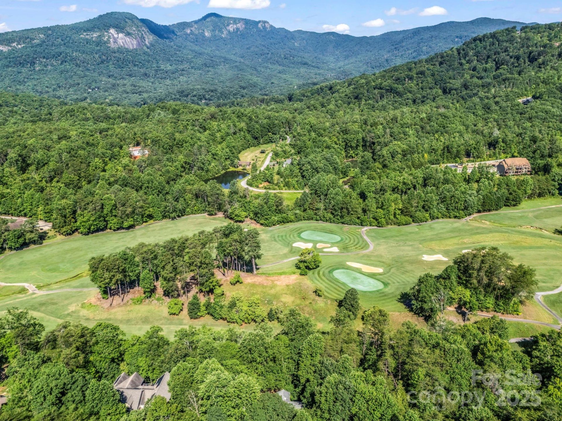 Property image 4 at 193 Downing Place, Lake Lure, NC 28746