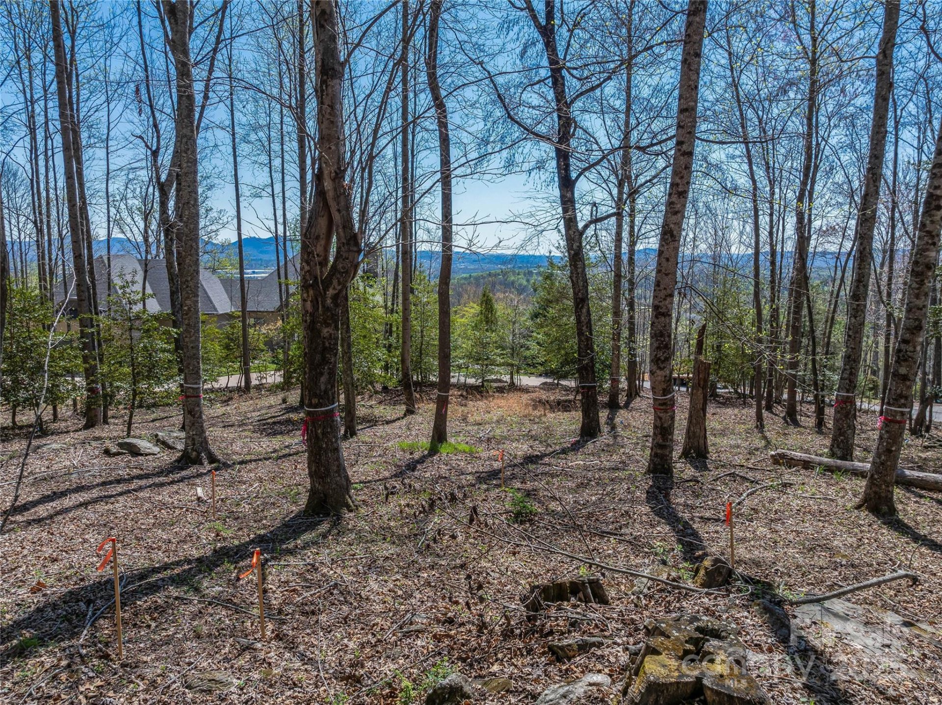 96 Split Rock Trail