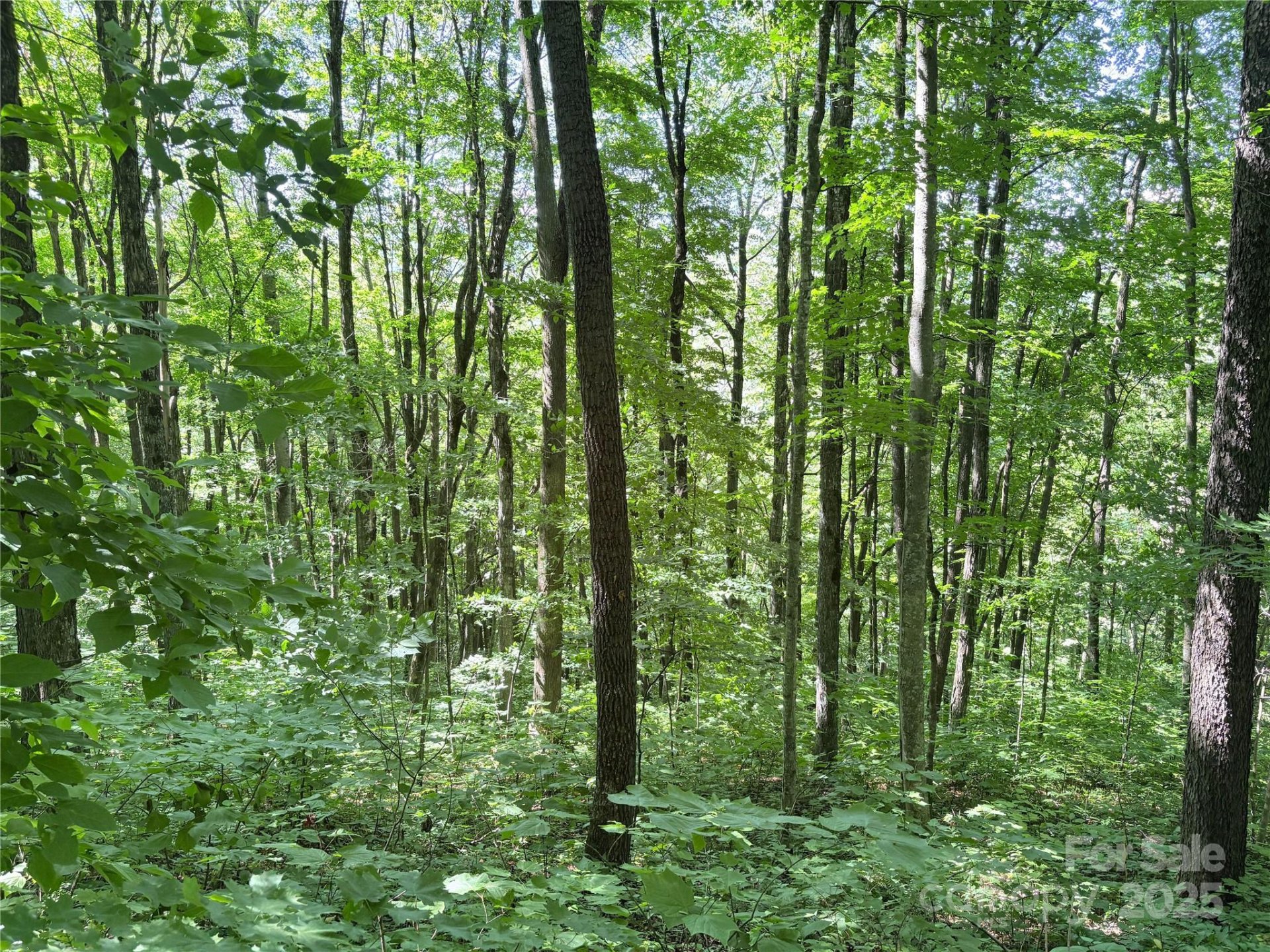 Property at 00 Slippery Rock Road, Waynesville, NC 28785