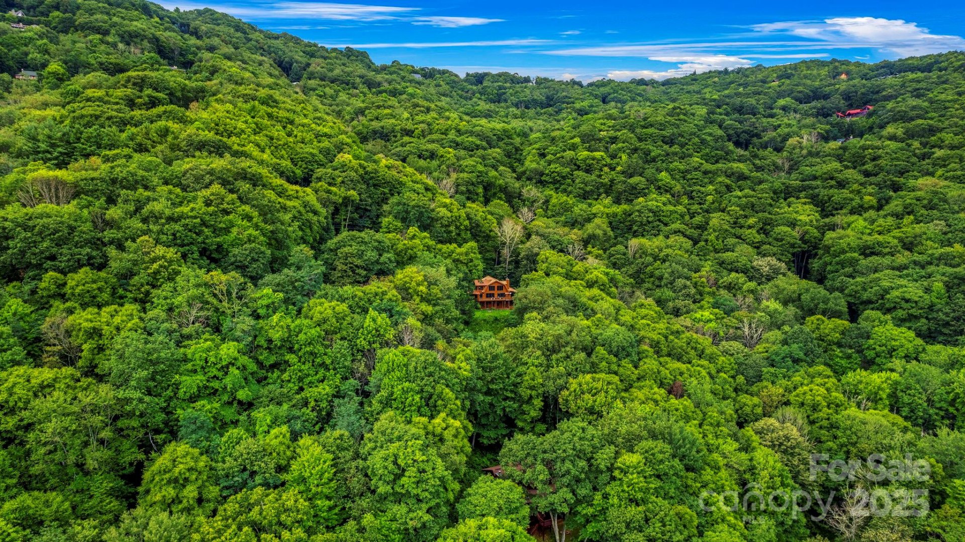 Property image 5 at 1933 N Laurel Ridge Road, Maggie Valley, NC 28751