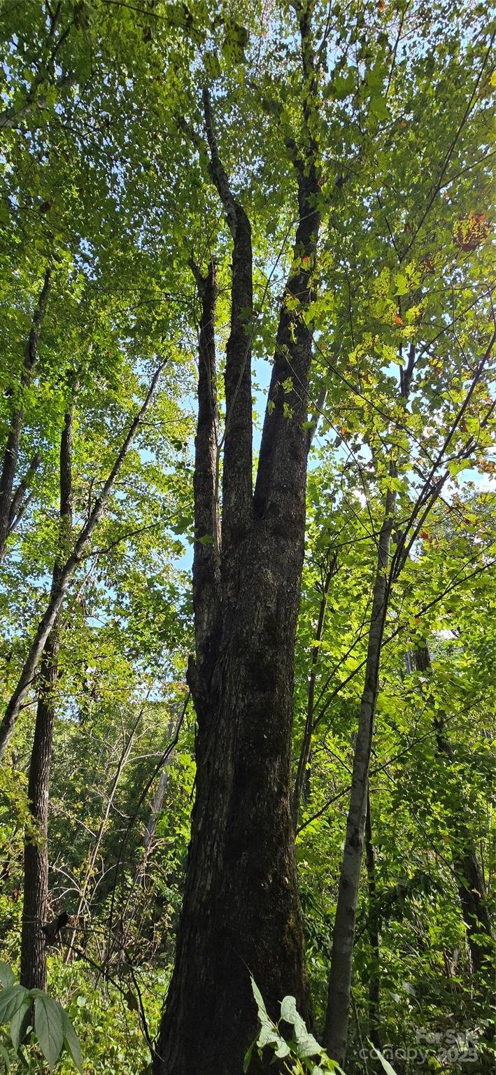 Property image 1 at 108 Tenderfoot Trail, Maggie Valley, NC 28751