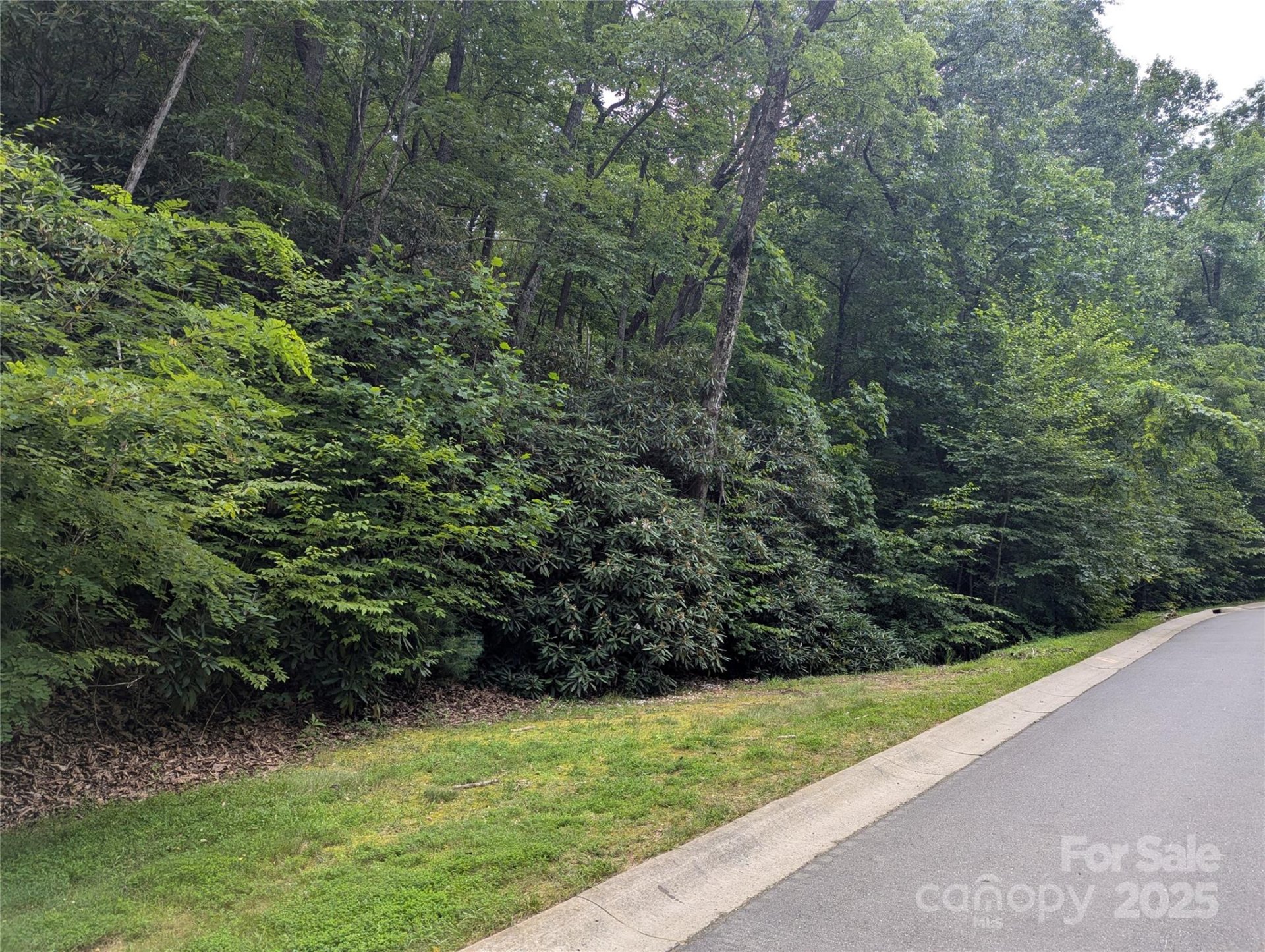 Property image 2 at 64 Settings Boulevard, Black Mountain, NC 28711