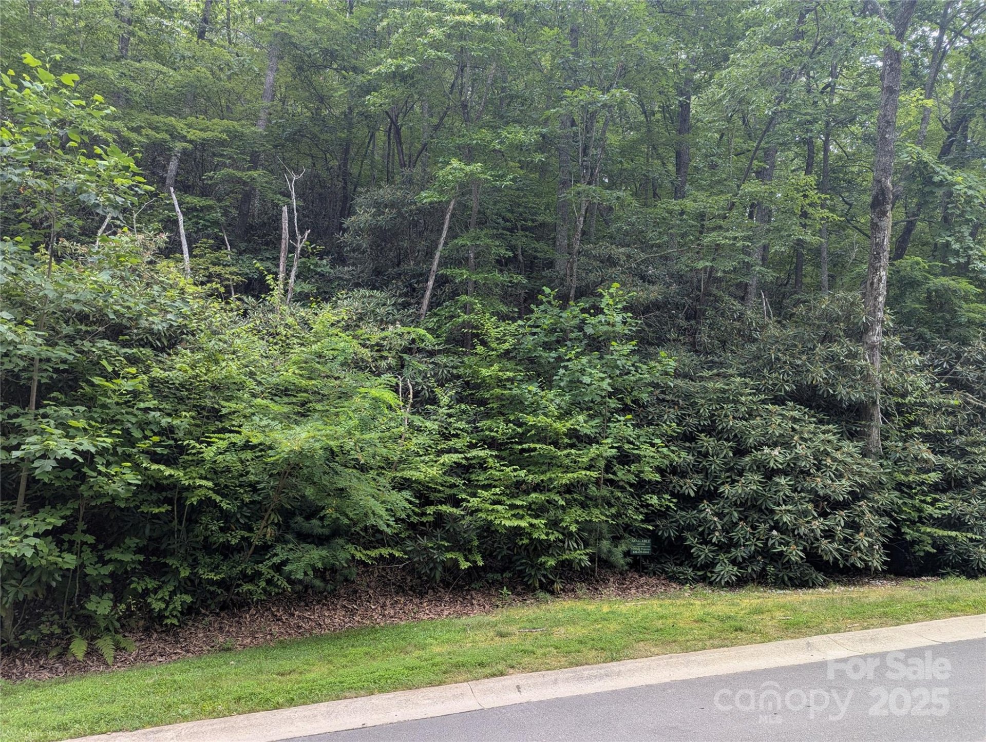 Property image 4 at 64 Settings Boulevard, Black Mountain, NC 28711