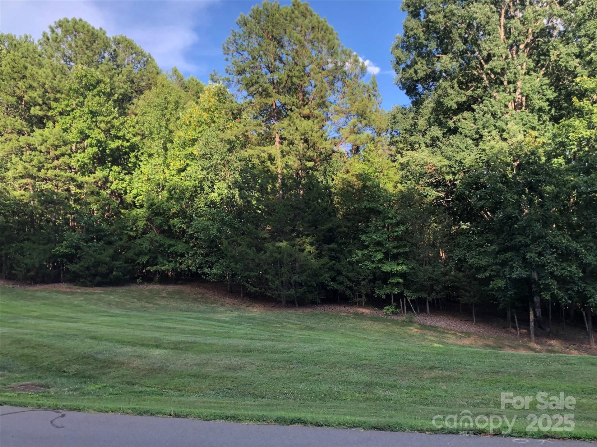 Property at 3900 Piaffe Avenue, Mint Hill, NC 28227