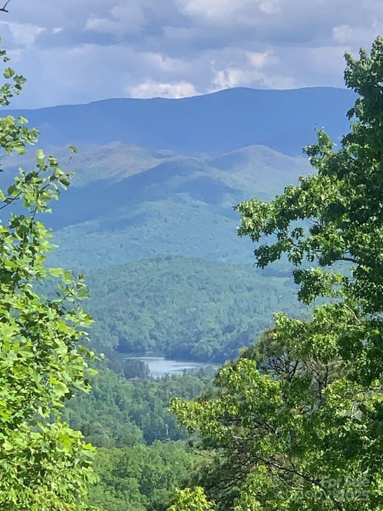 Property at 377 Freeman Overlook, Almond, NC 28702