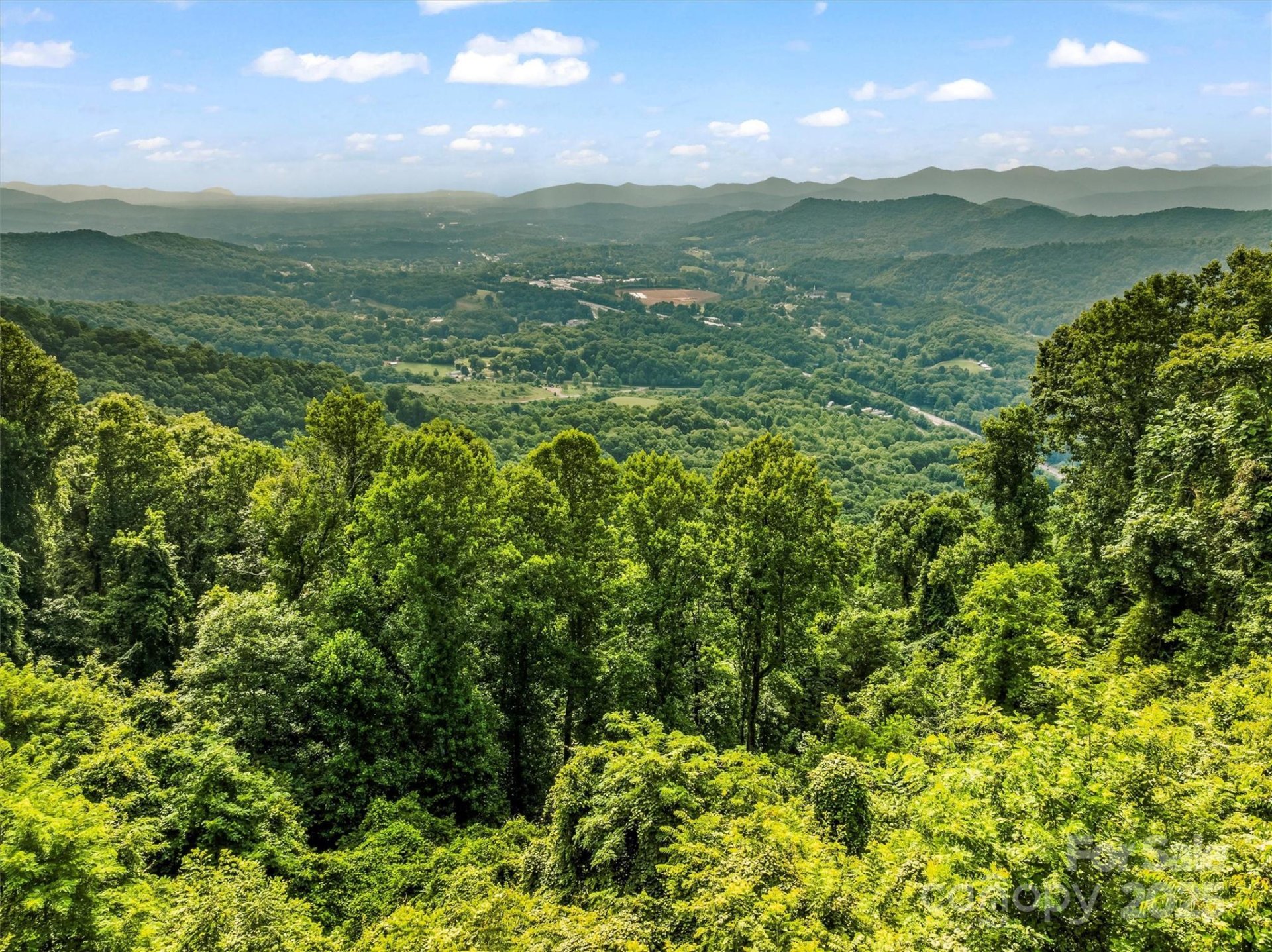 Property image 2 at 9999 Blue Ridge View Drive, Canton, NC 28716