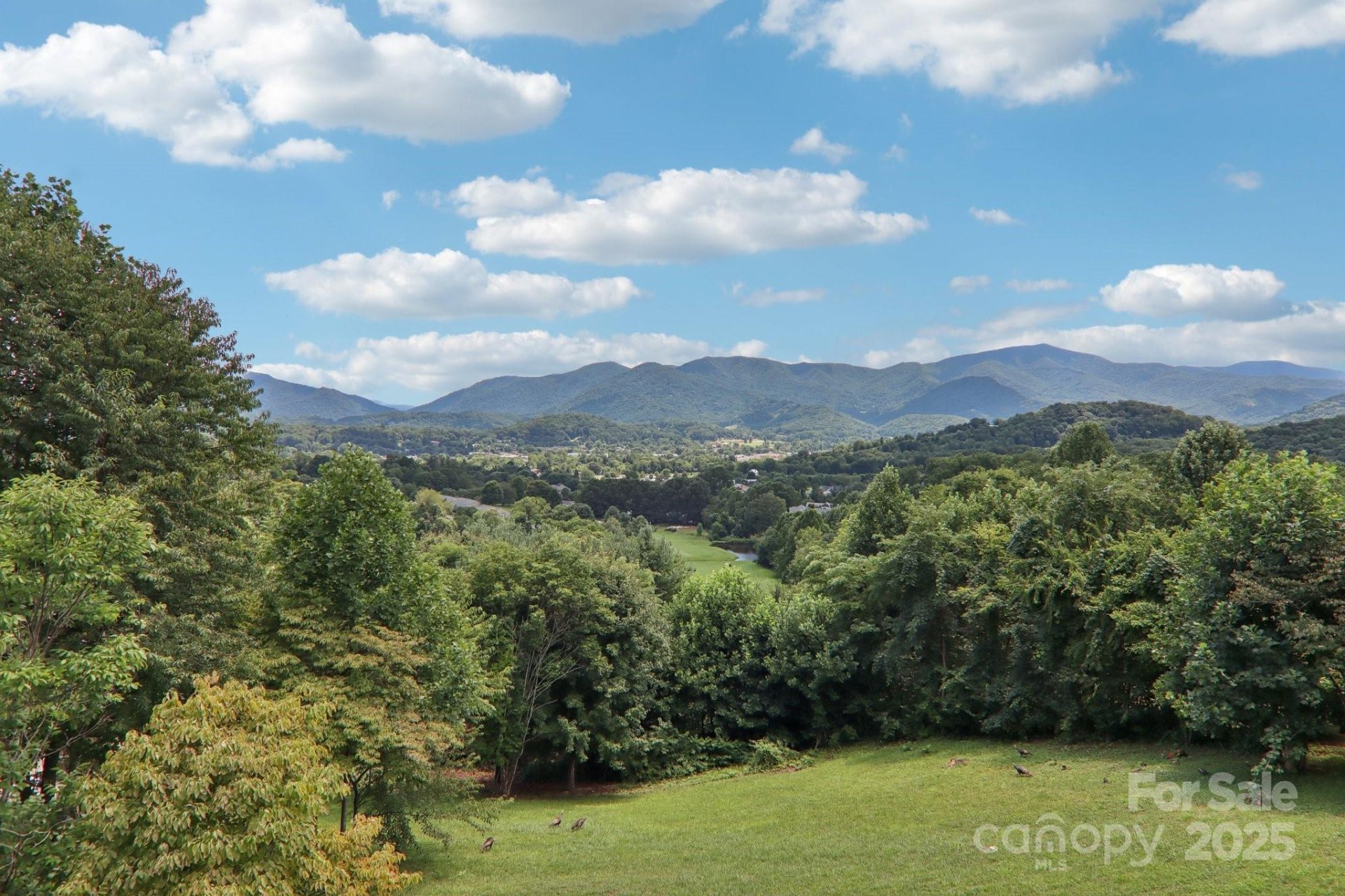 Property image 2 at 149 Cardinal Lane, Waynesville, NC 28786