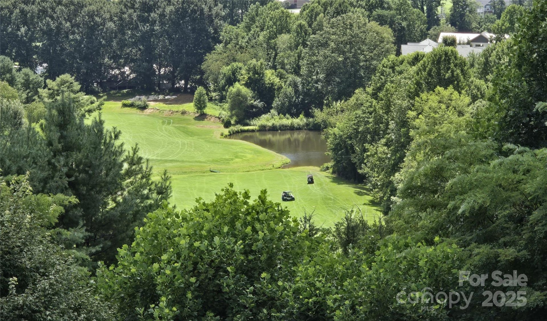 Property image 4 at 149 Cardinal Lane, Waynesville, NC 28786
