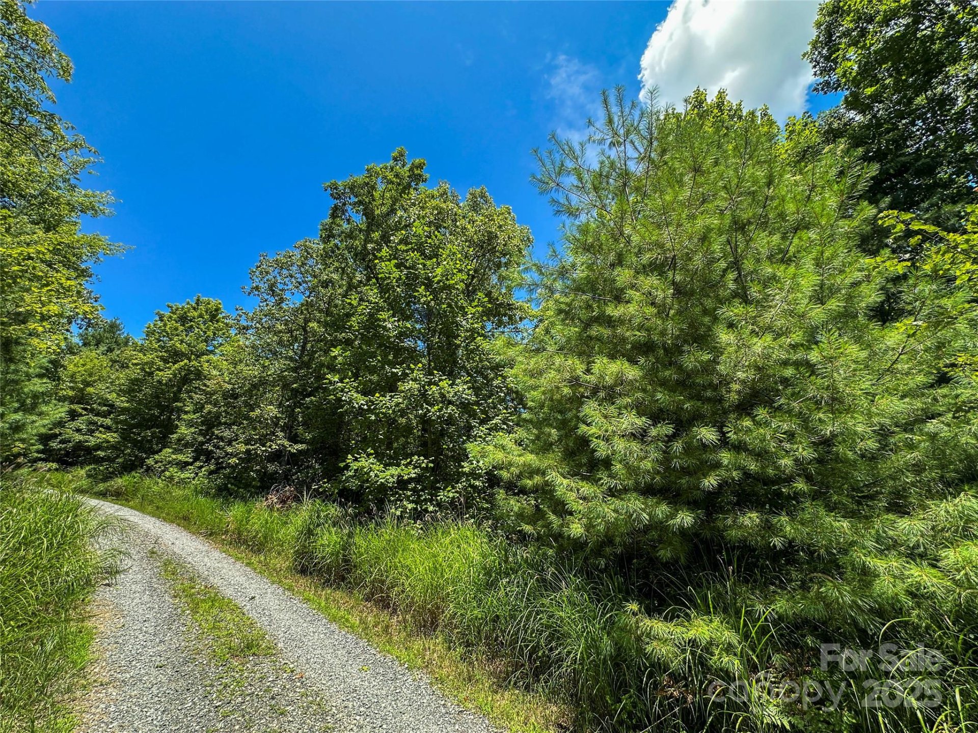 Property at Tbd Emma Bri Lane, Hendersonville, NC 28739