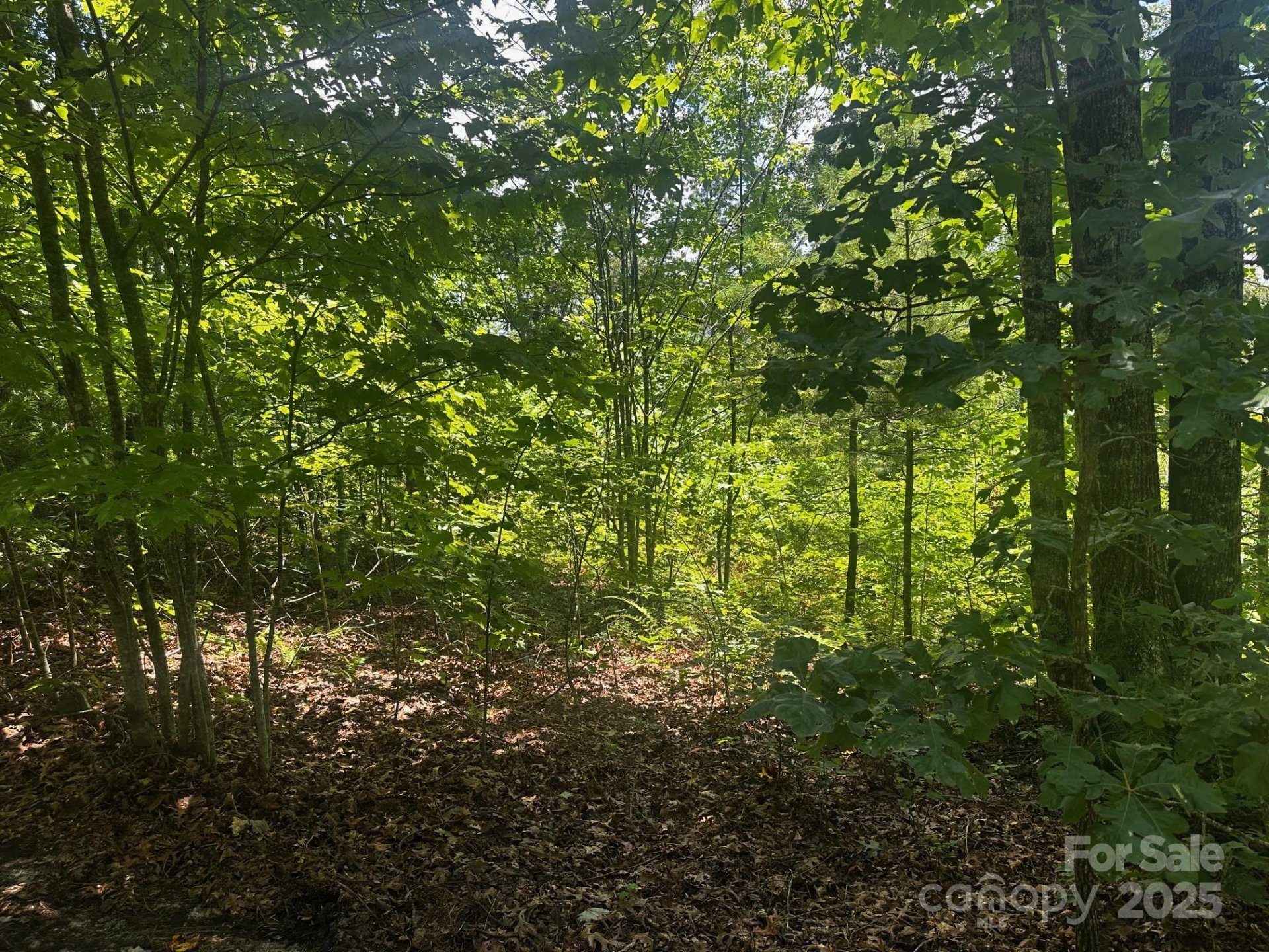 Property image 2 at 130 Brown Bear Ridge Trail, Zirconia, NC 28790