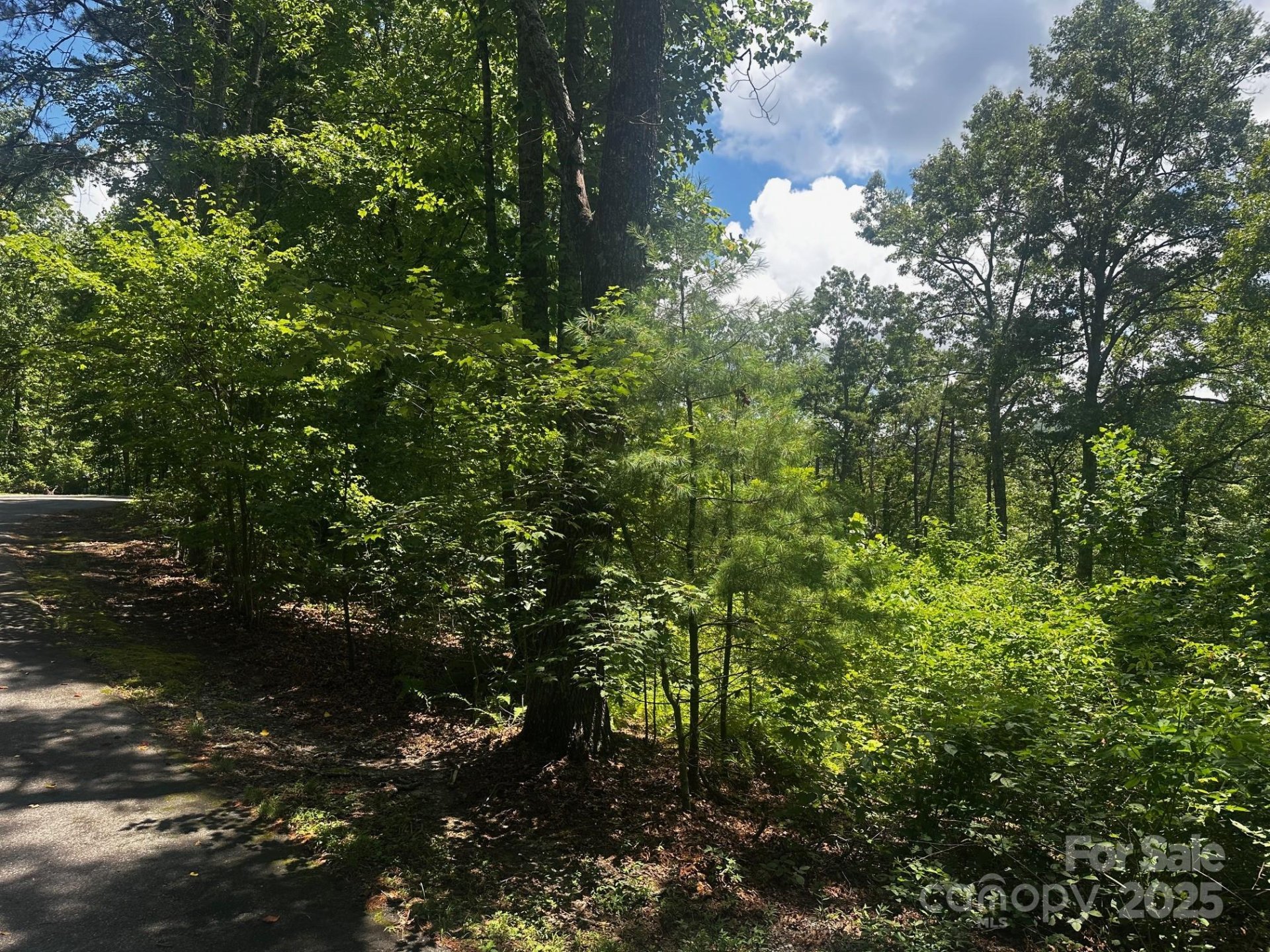 Property image 3 at 130 Brown Bear Ridge Trail, Zirconia, NC 28790