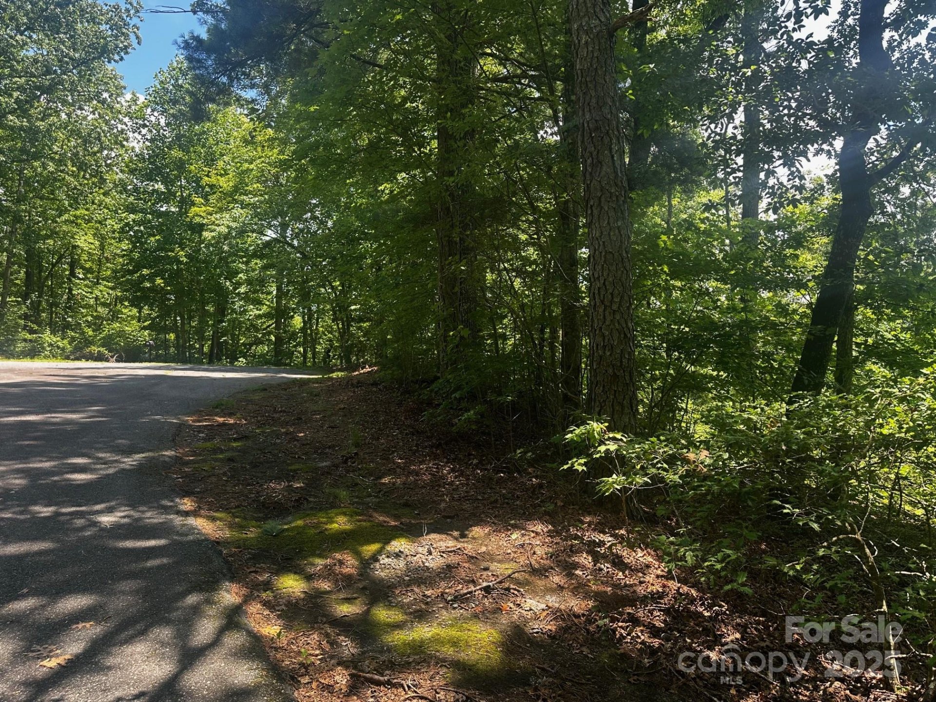 Property image 4 at 130 Brown Bear Ridge Trail, Zirconia, NC 28790