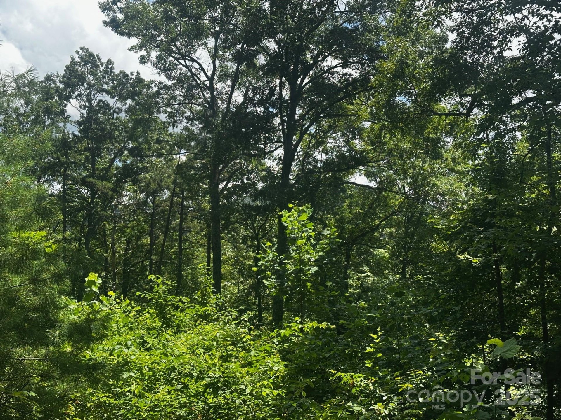 Property image 5 at 130 Brown Bear Ridge Trail, Zirconia, NC 28790