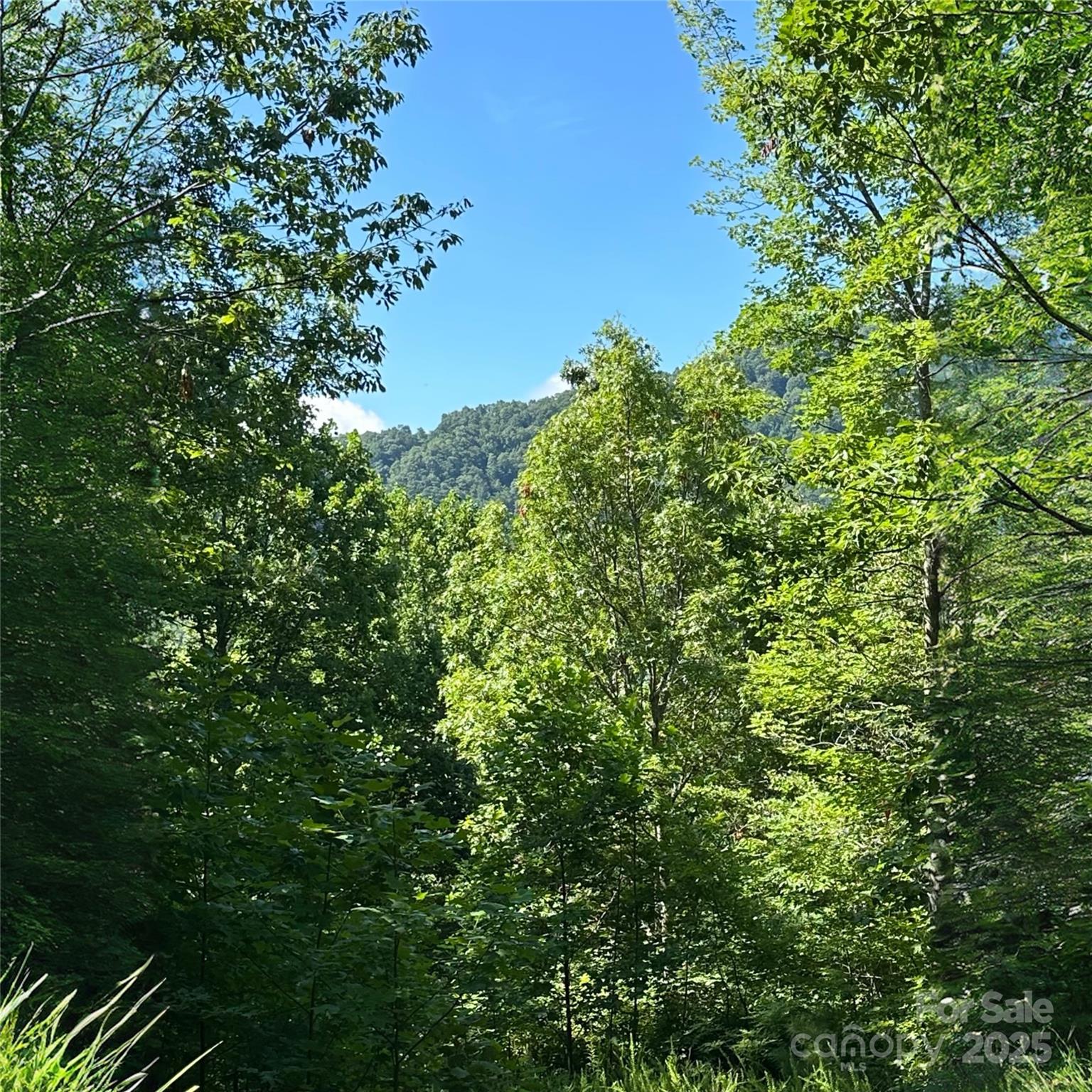 Property at 33 Nuthatch Lane, Black Mountain, NC 28711