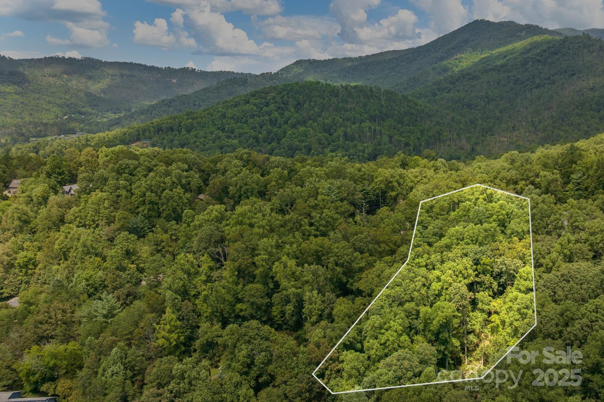 Property at 99999 Buffalo Trail, Asheville, NC 28805