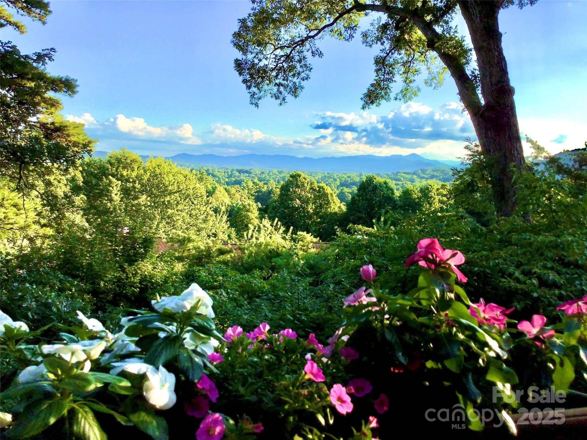 305 Piney Mountain Drive