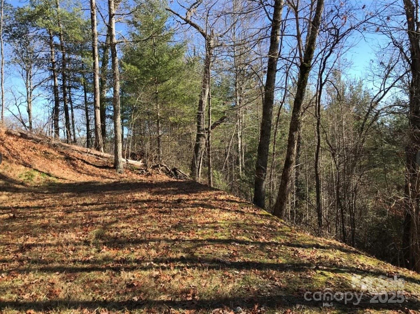 Property at 0 Saturn Way, Topton, NC 28781