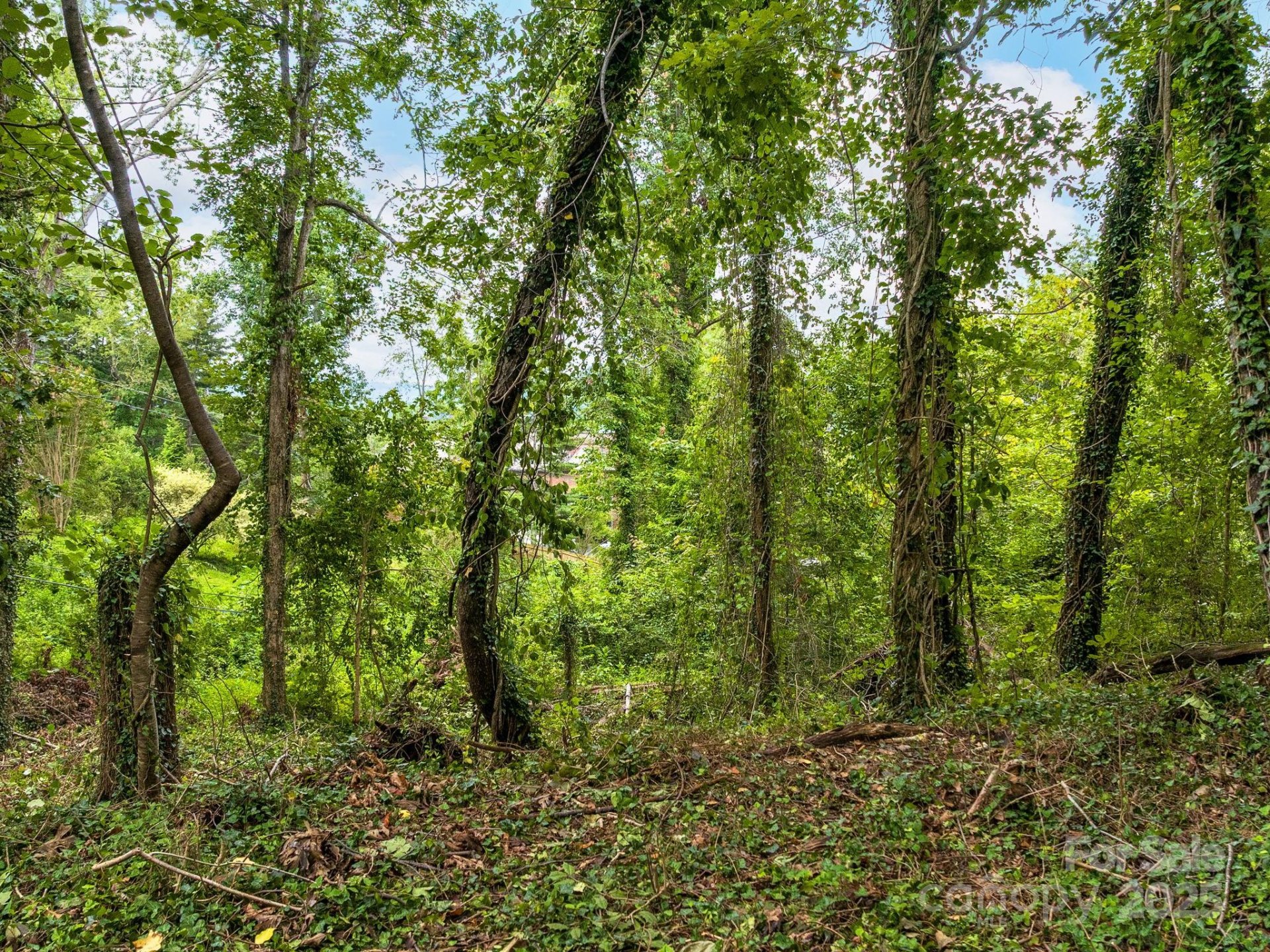 Property image 3 at 99999 Windsor Road, Asheville, NC 28804