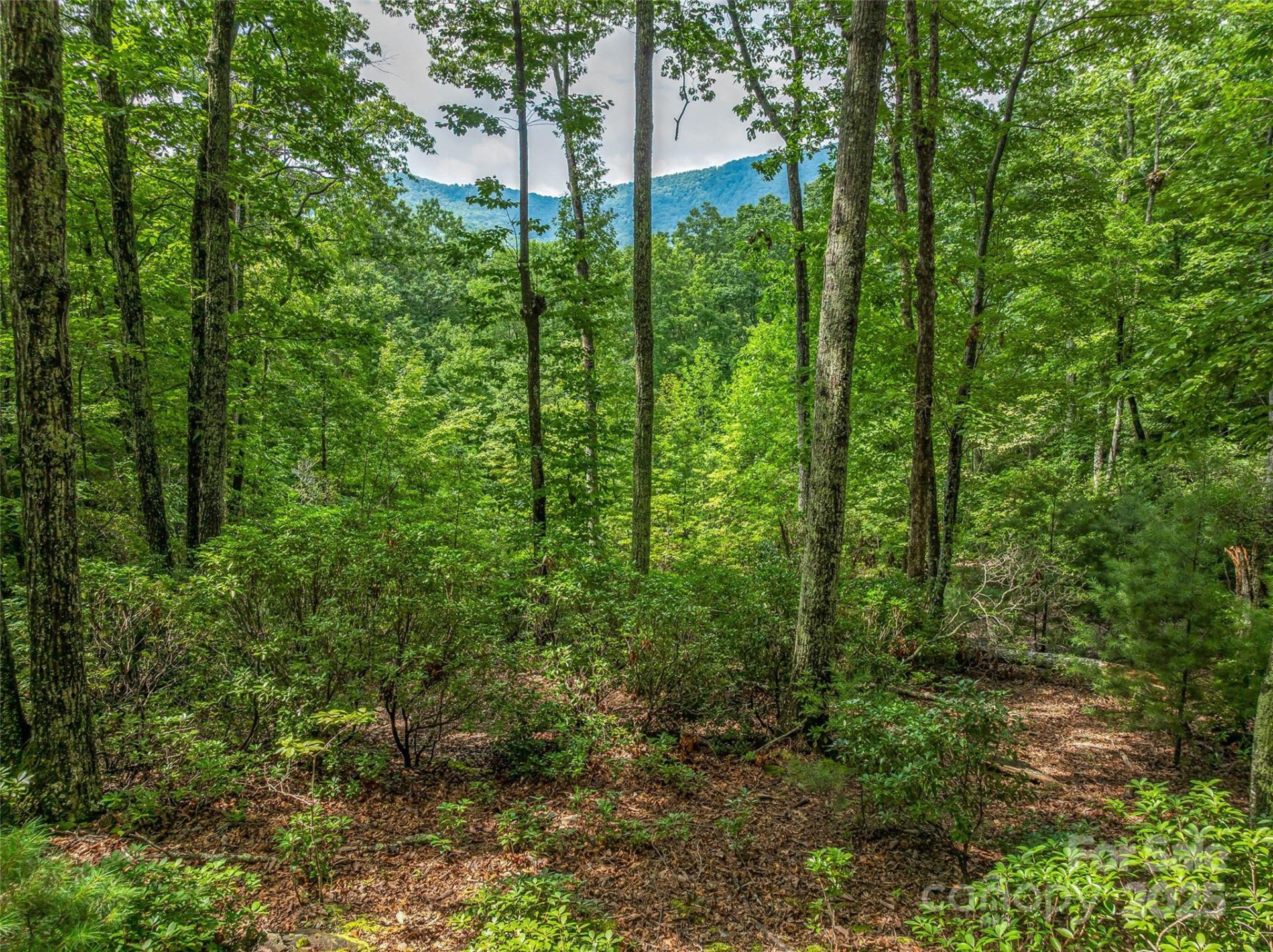 72 Smokey Ridge Trail